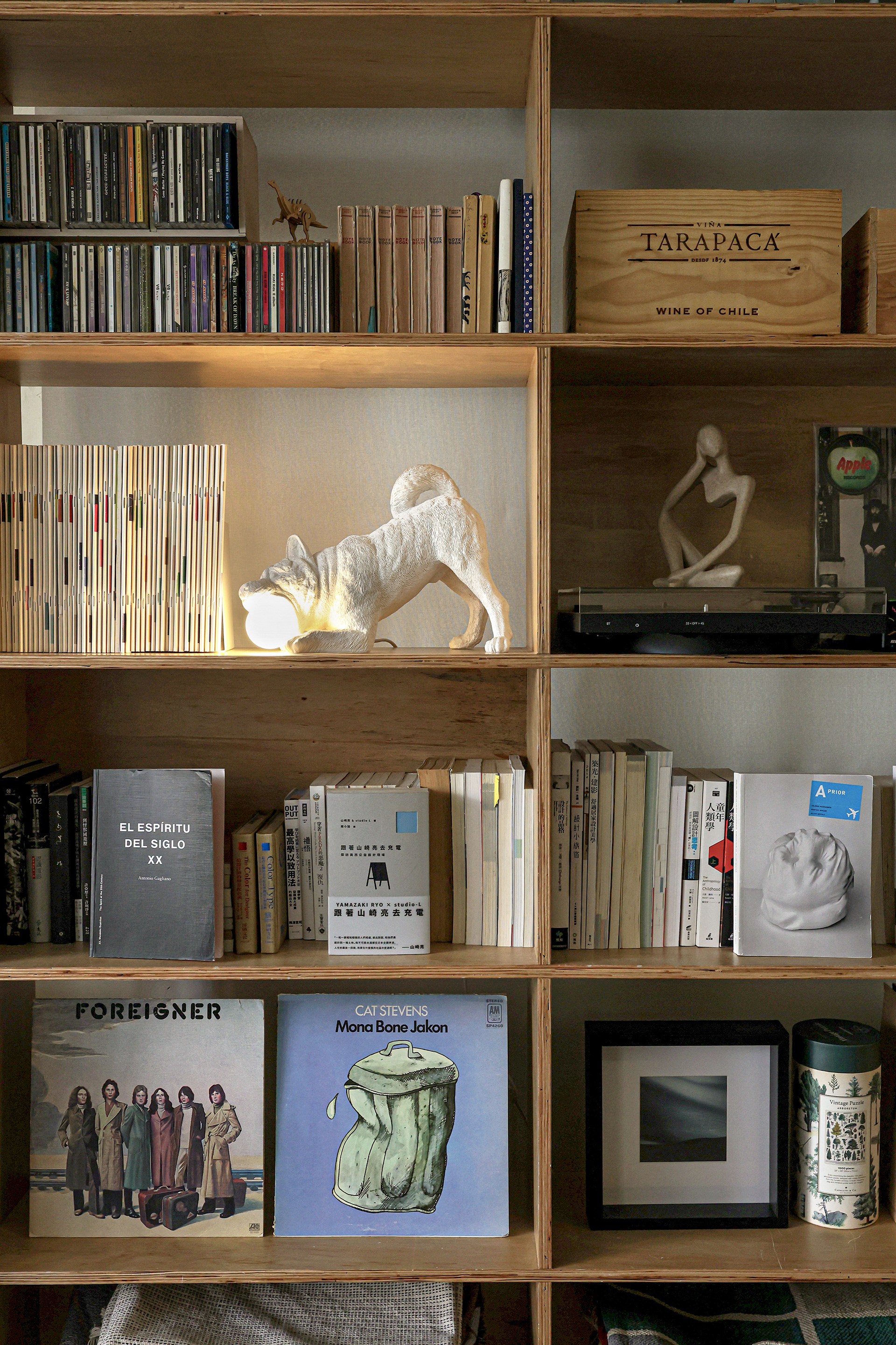 lamps and lanterns，puppy，lighting，