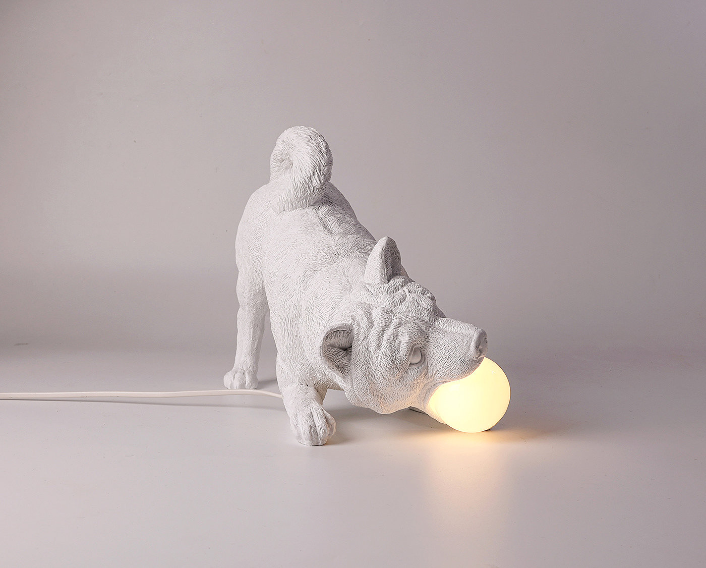 灯具，小狗，照明，