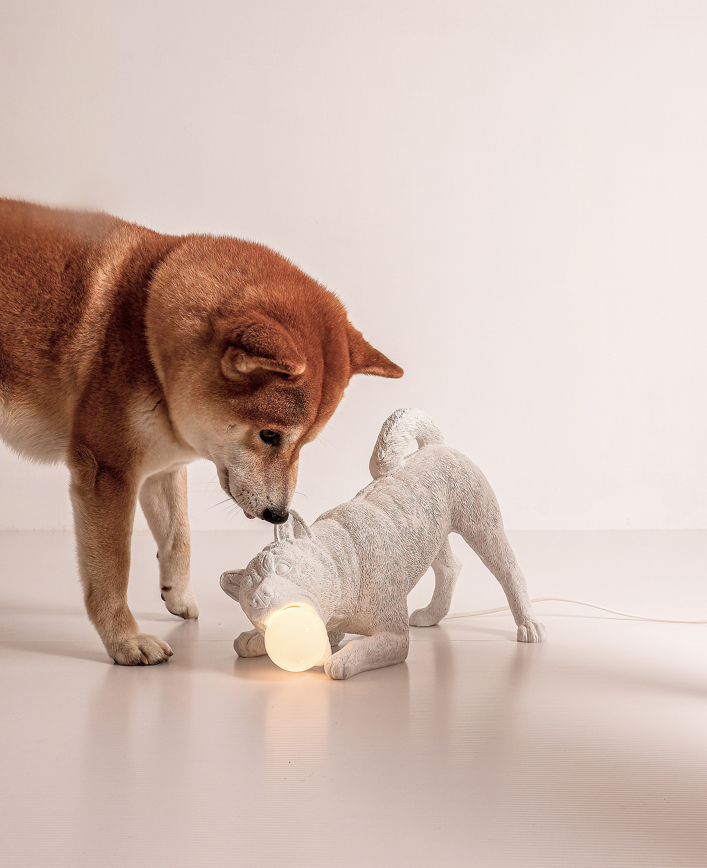 lamps and lanterns，puppy，lighting，