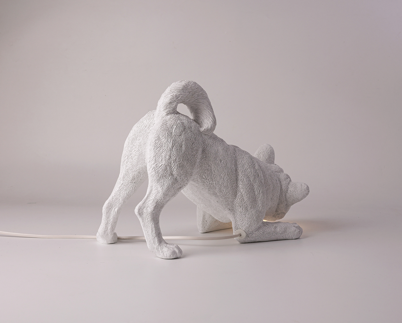 lamps and lanterns，puppy，lighting，