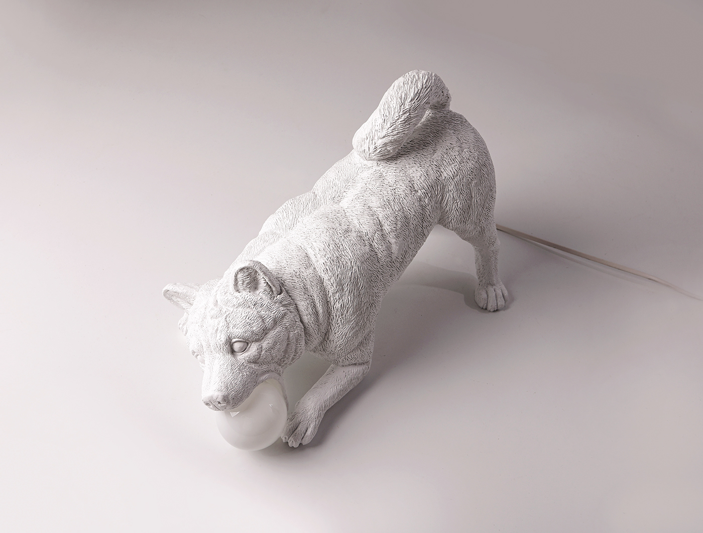 lamps and lanterns，puppy，lighting，