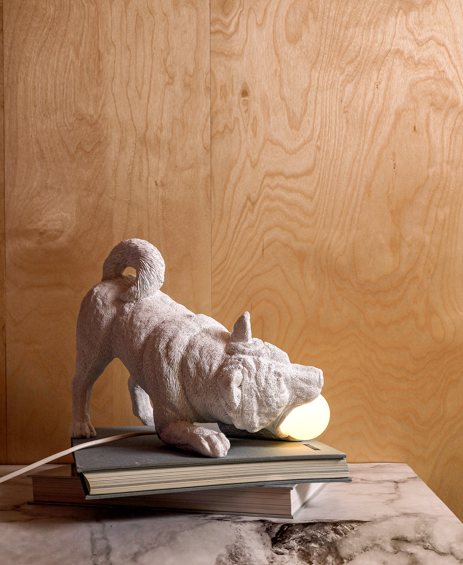 lamps and lanterns，puppy，lighting，