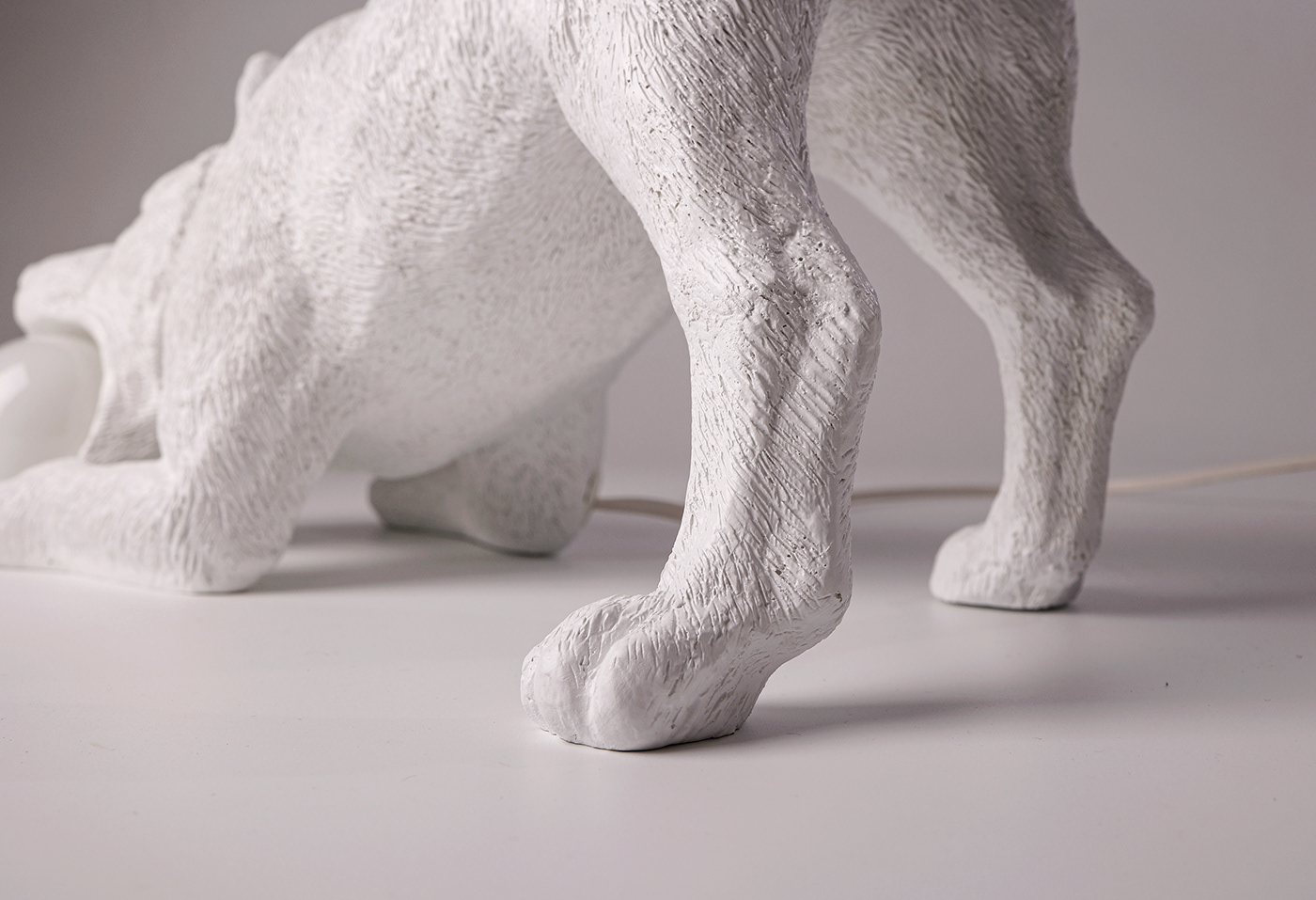 lamps and lanterns，puppy，lighting，