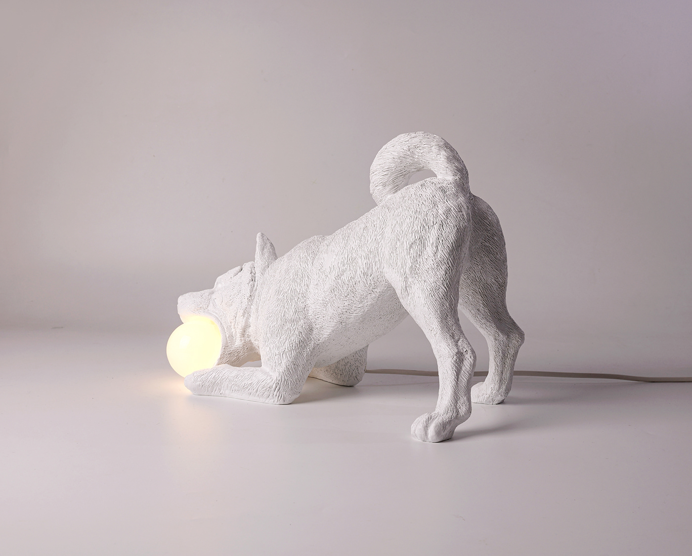 lamps and lanterns，puppy，lighting，