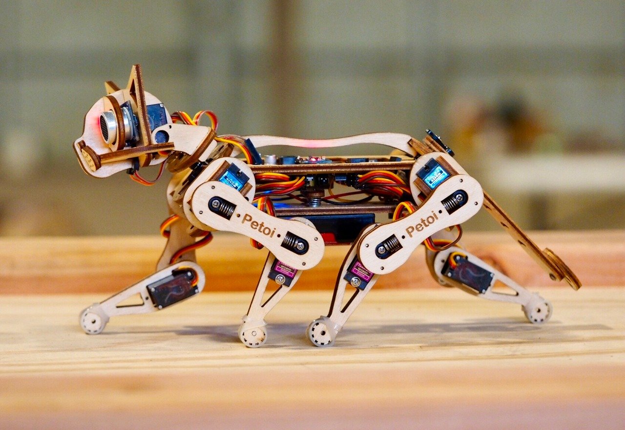 artificial intelligence，cat，Punk，