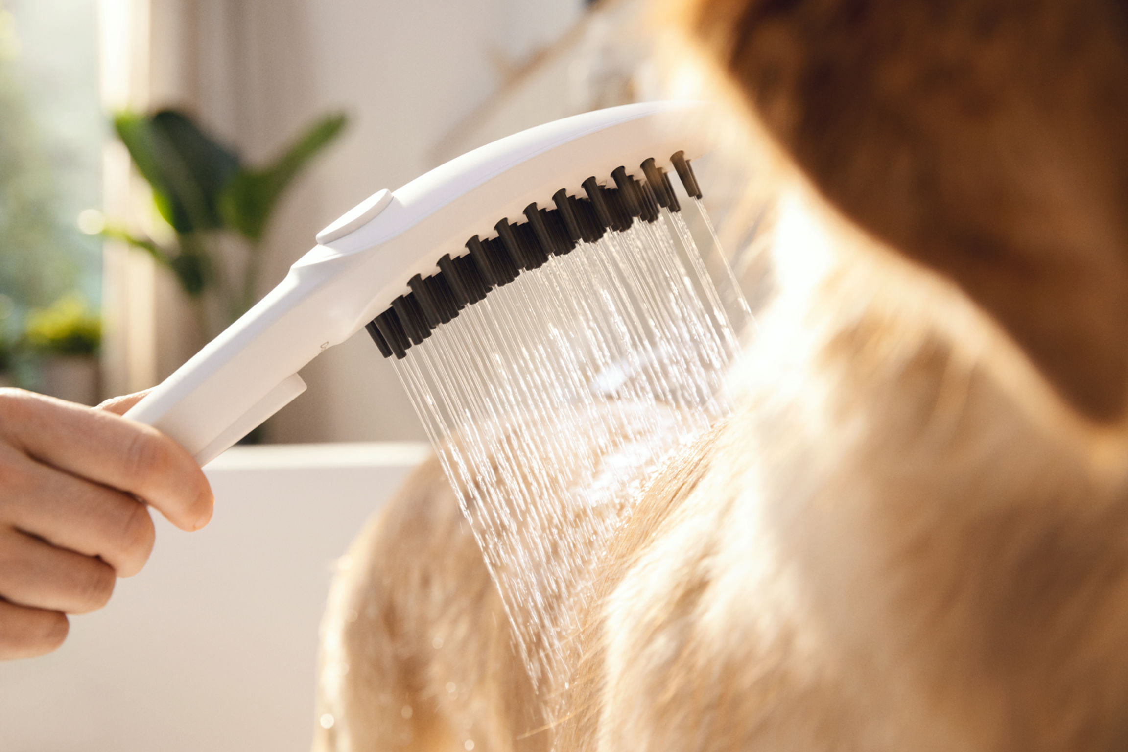 2022 Red Dot Product Design Award，hansgrohe DogShower，Pets，Shower，hold，