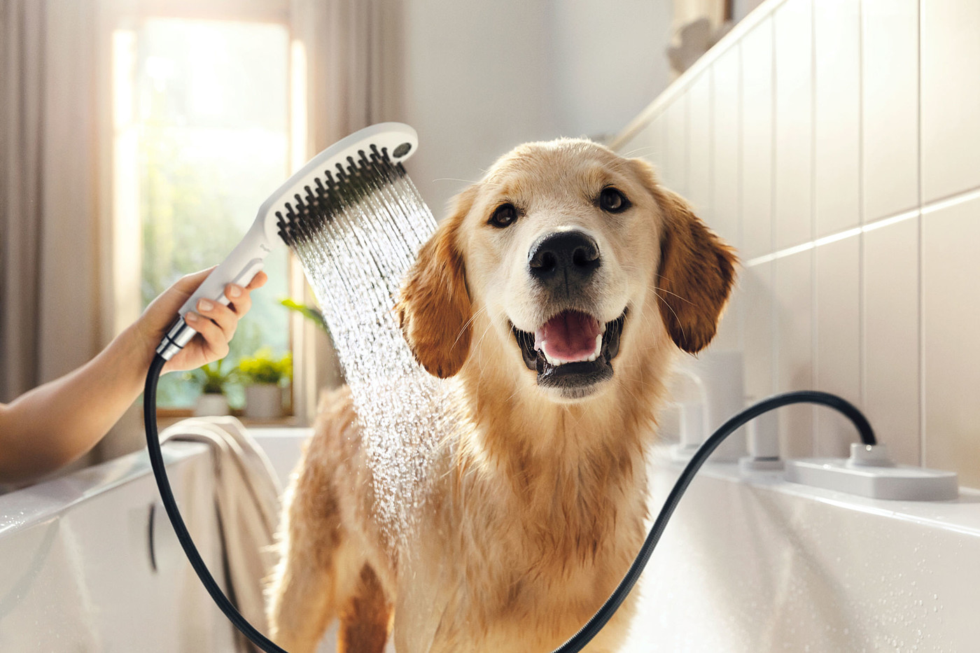 2022 Red Dot Product Design Award，hansgrohe DogShower，Pets，Shower，hold，