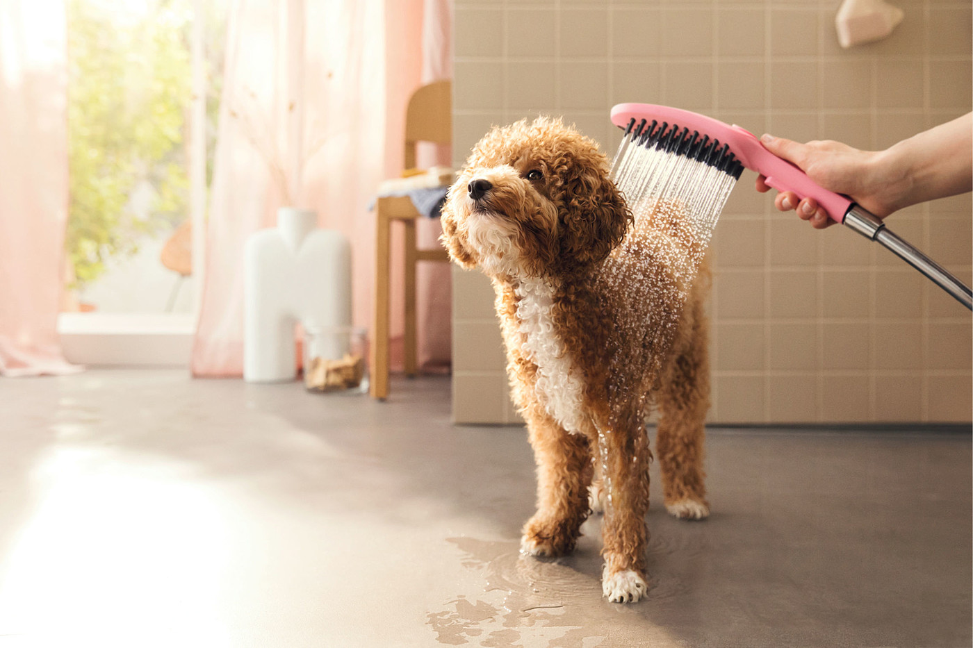 2022 Red Dot Product Design Award，hansgrohe DogShower，Pets，Shower，hold，
