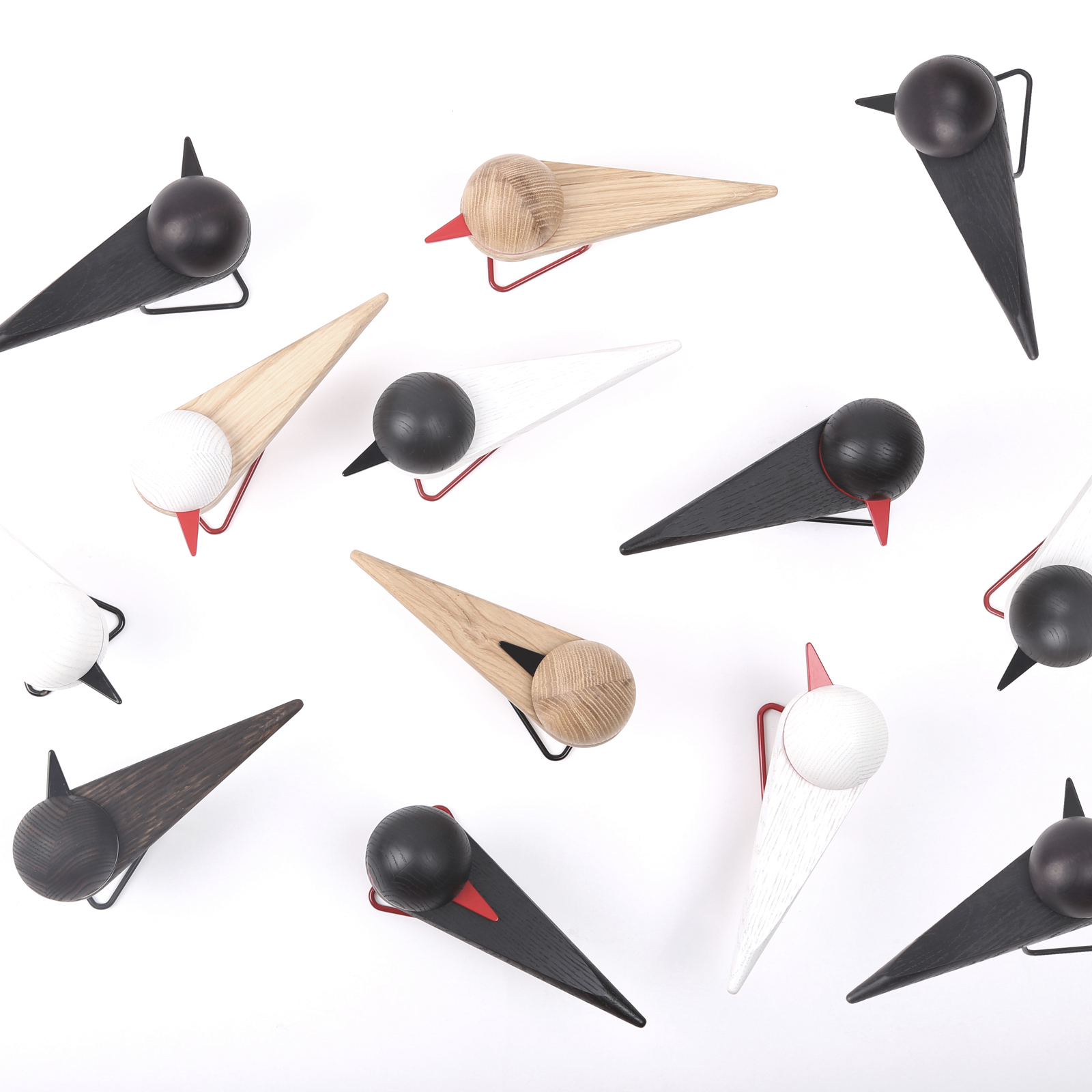 woodiness，Seabirds，portrait，