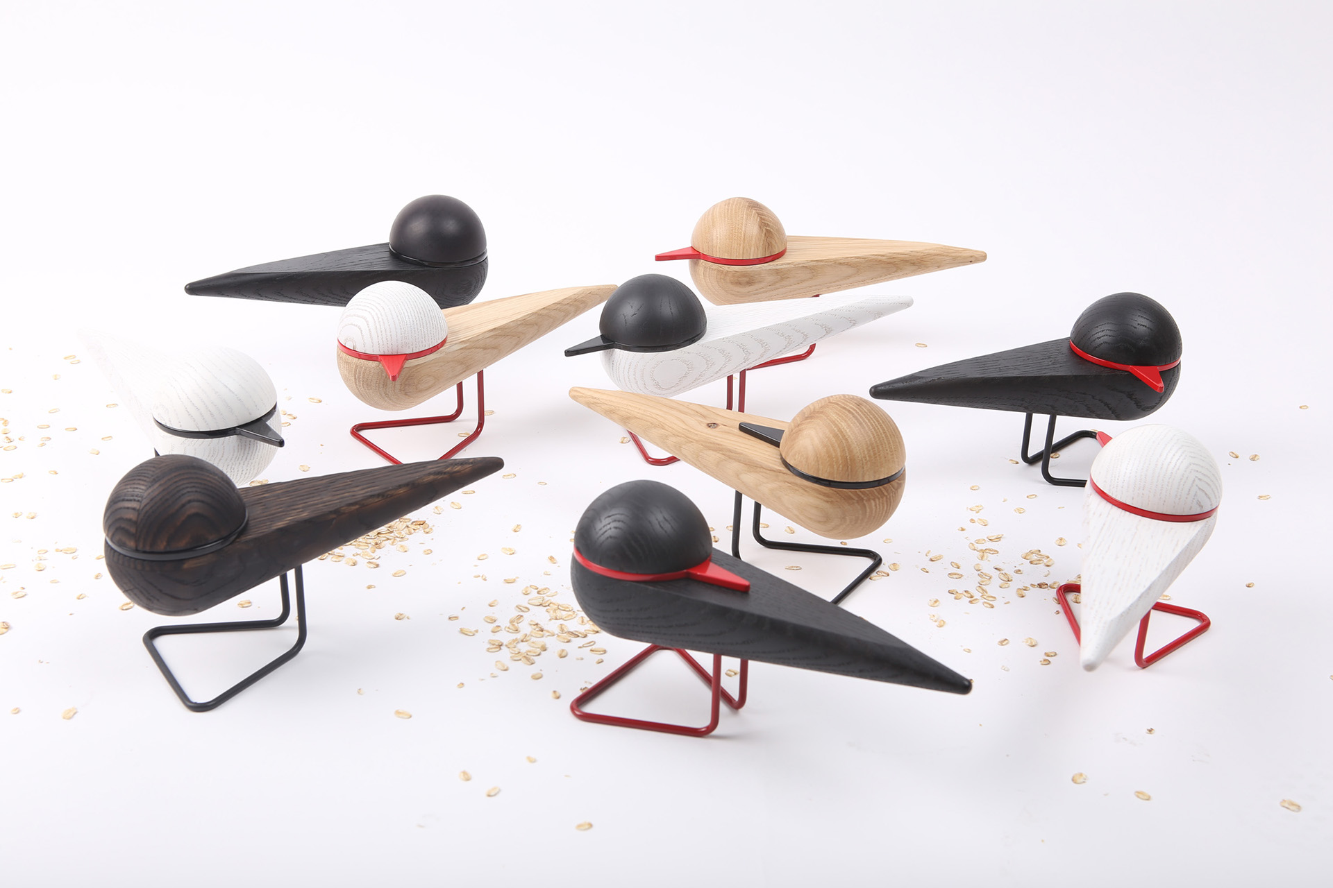 woodiness，Seabirds，portrait，