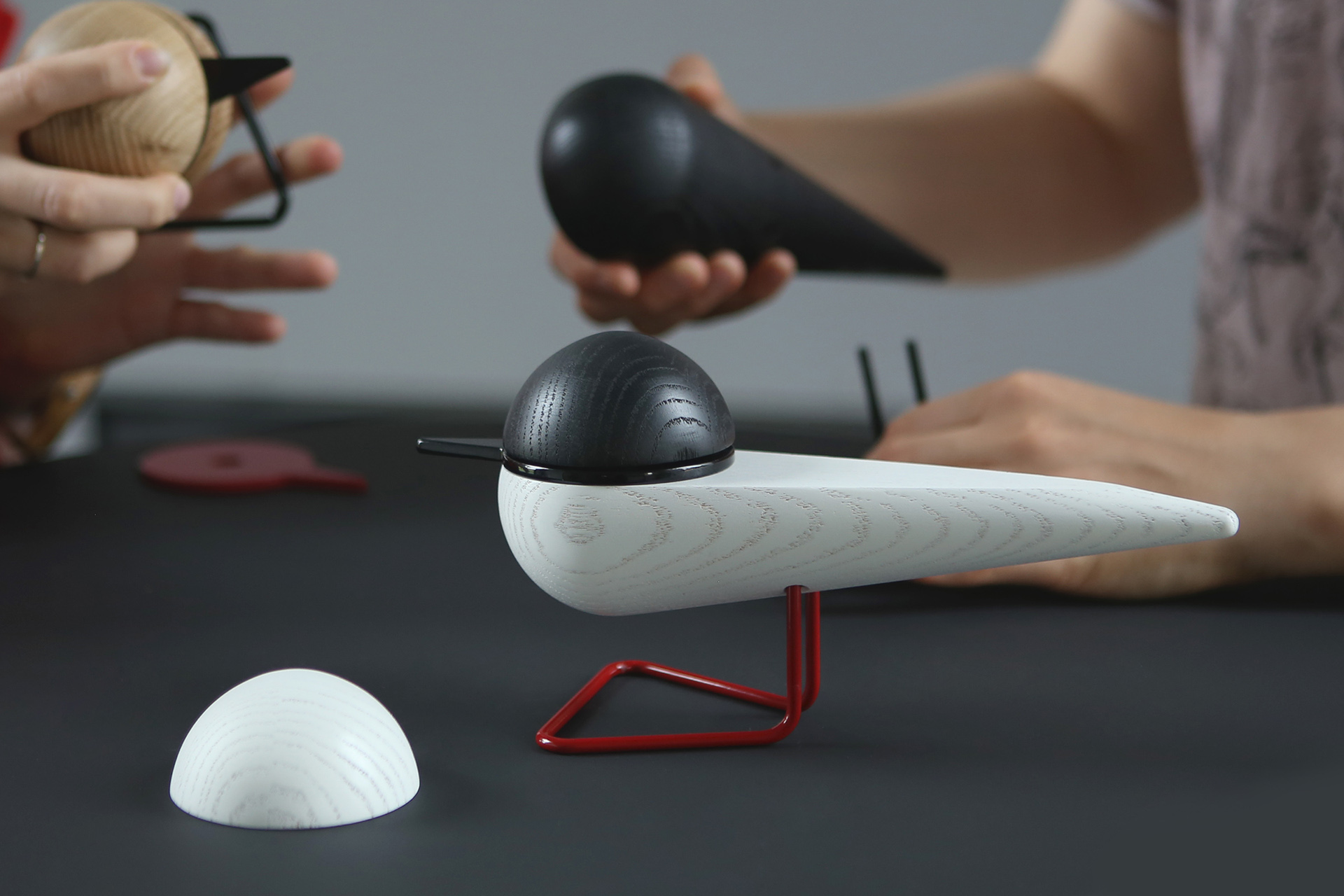 woodiness，Seabirds，portrait，