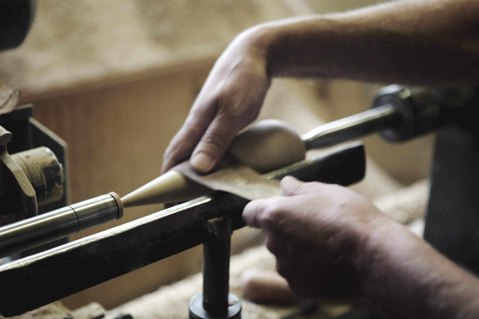 woodiness，Seabirds，portrait，