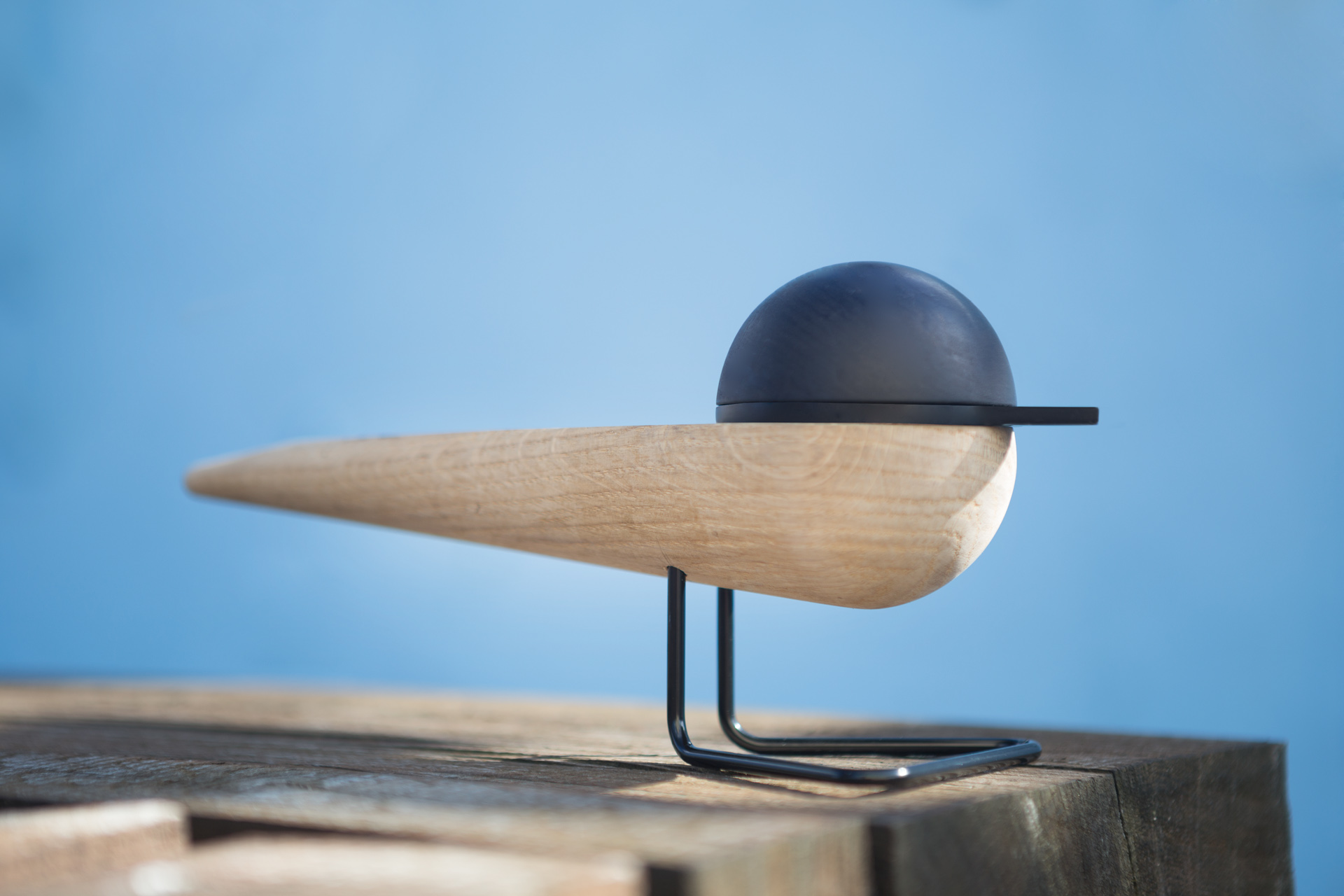 woodiness，Seabirds，portrait，