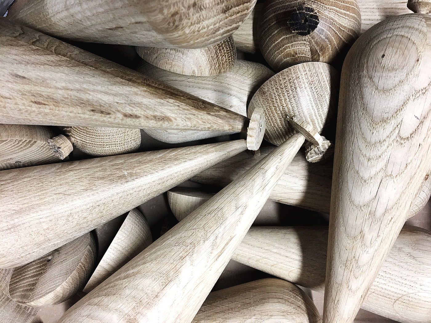 woodiness，Seabirds，portrait，