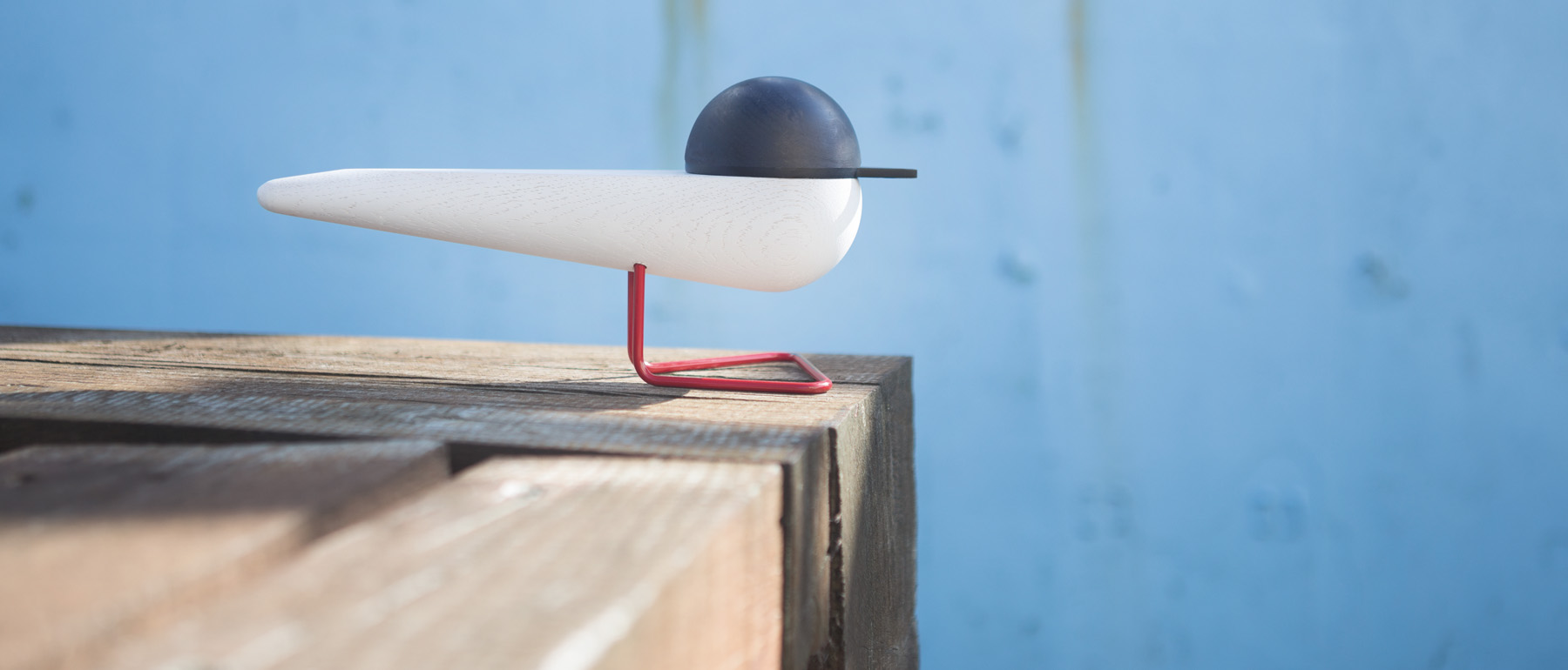 woodiness，Seabirds，portrait，