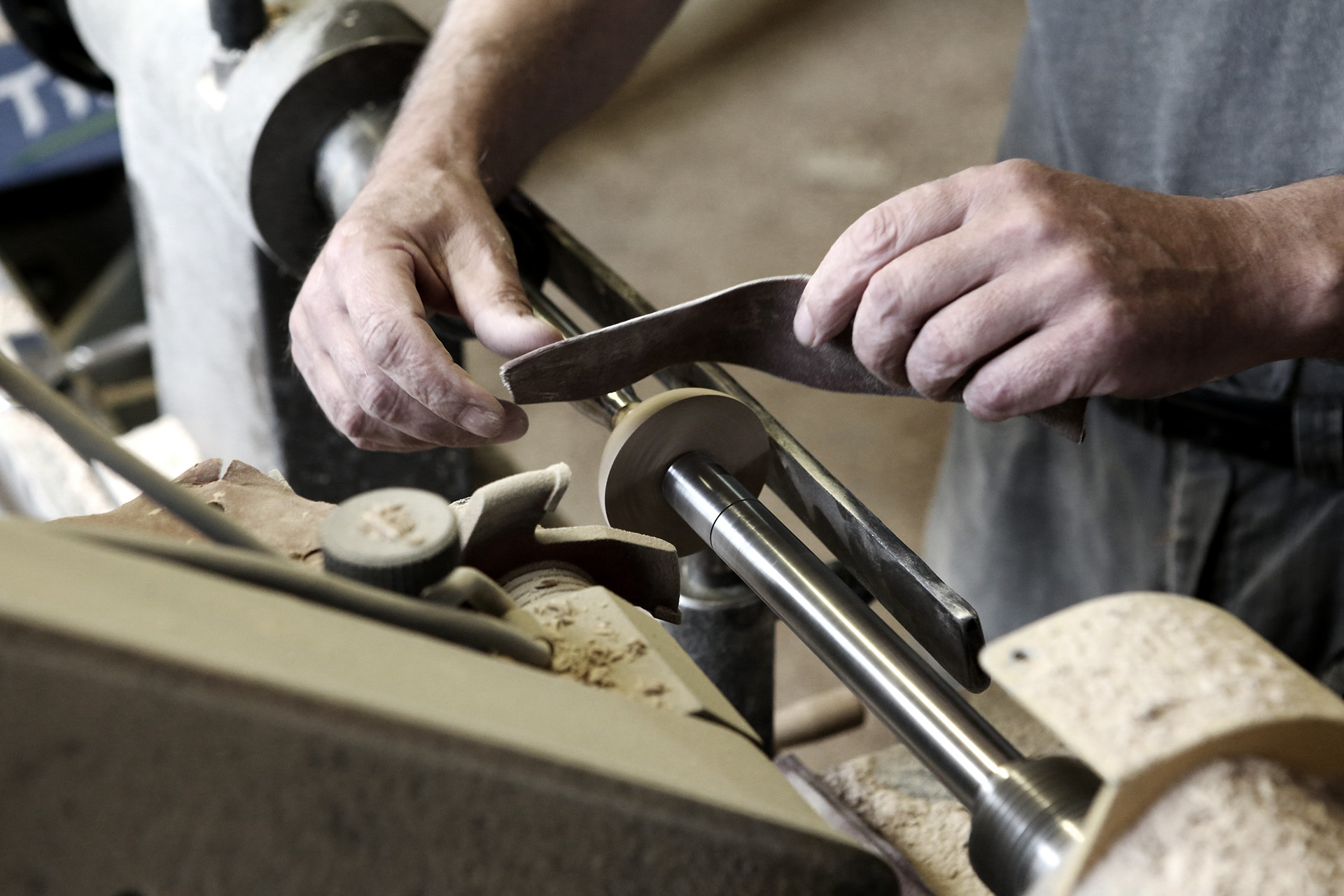 woodiness，Seabirds，portrait，