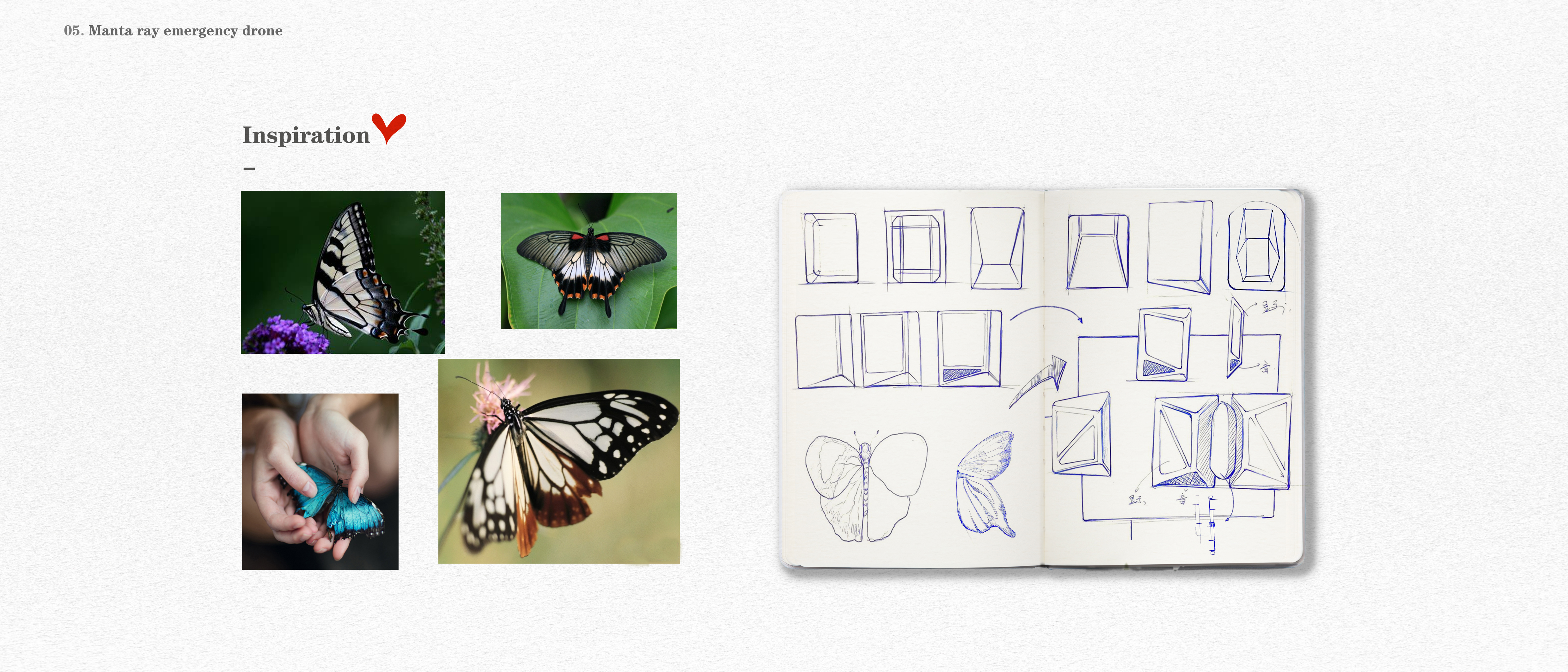 sample reels，22 Fresh Graduates Looking for Jobs，