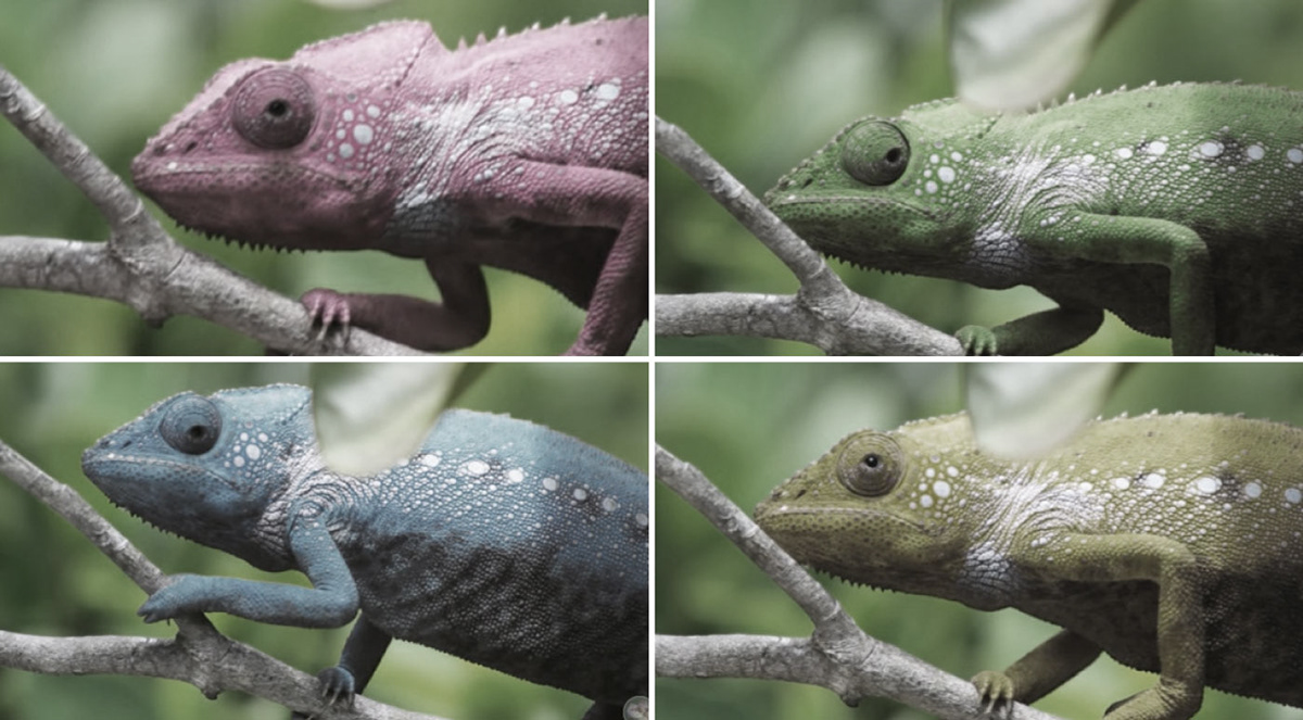 industrial design，product design，sewing，