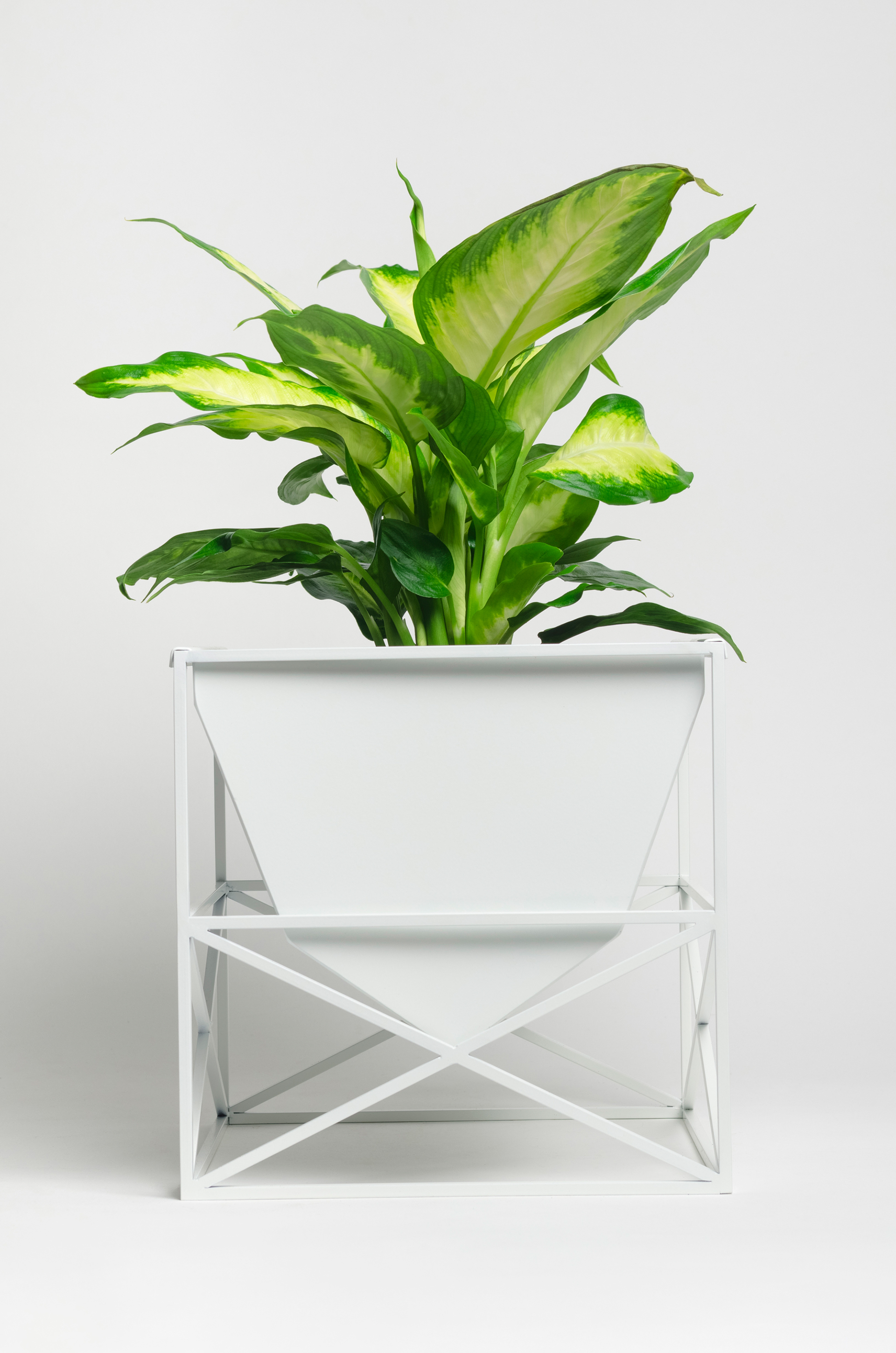 product design，Flowerpot，
