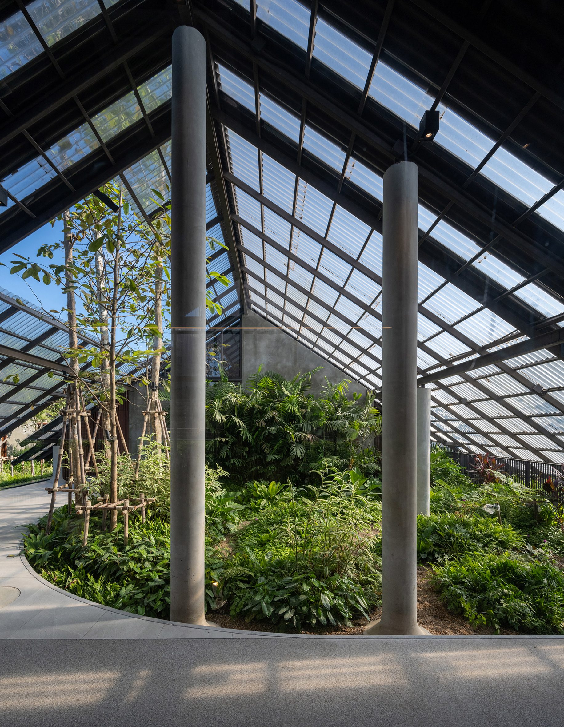 Architecture，space，hotel，Architectural design，design，family，dog，Pets，