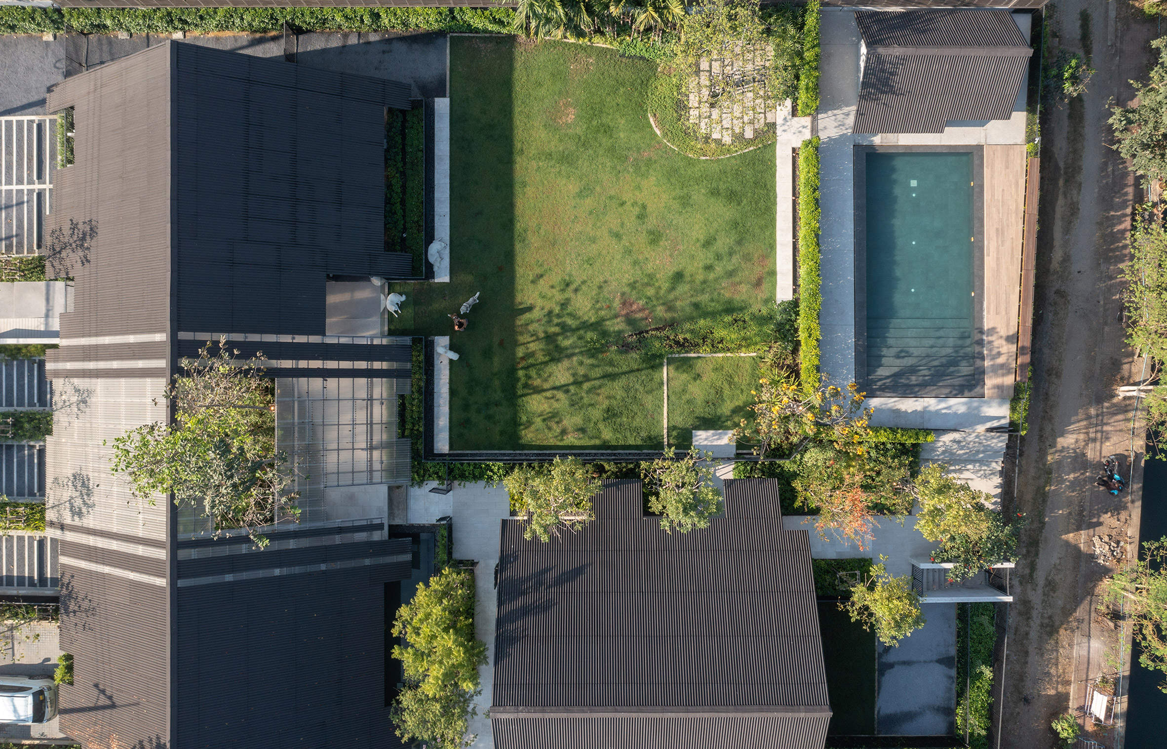 Architecture，space，hotel，Architectural design，design，family，dog，Pets，