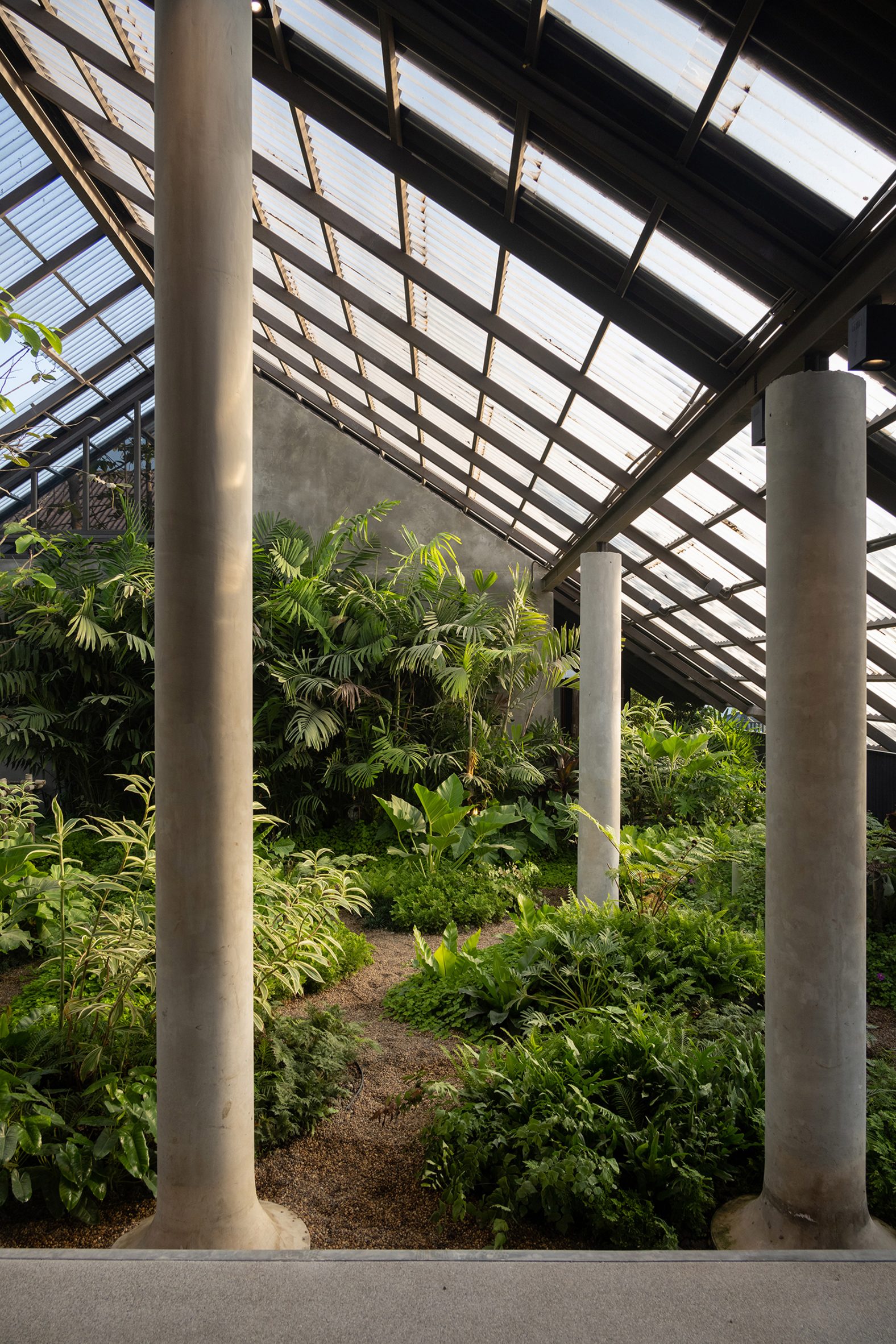 Architecture，space，hotel，Architectural design，design，family，dog，Pets，