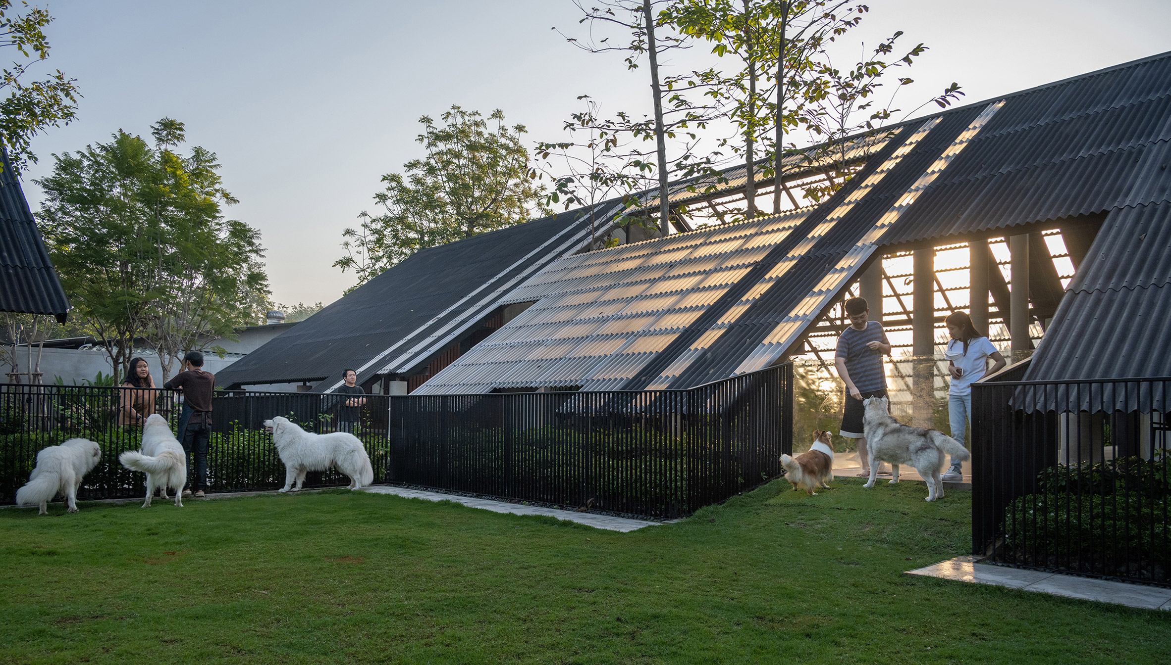 Architecture，space，hotel，Architectural design，design，family，dog，Pets，