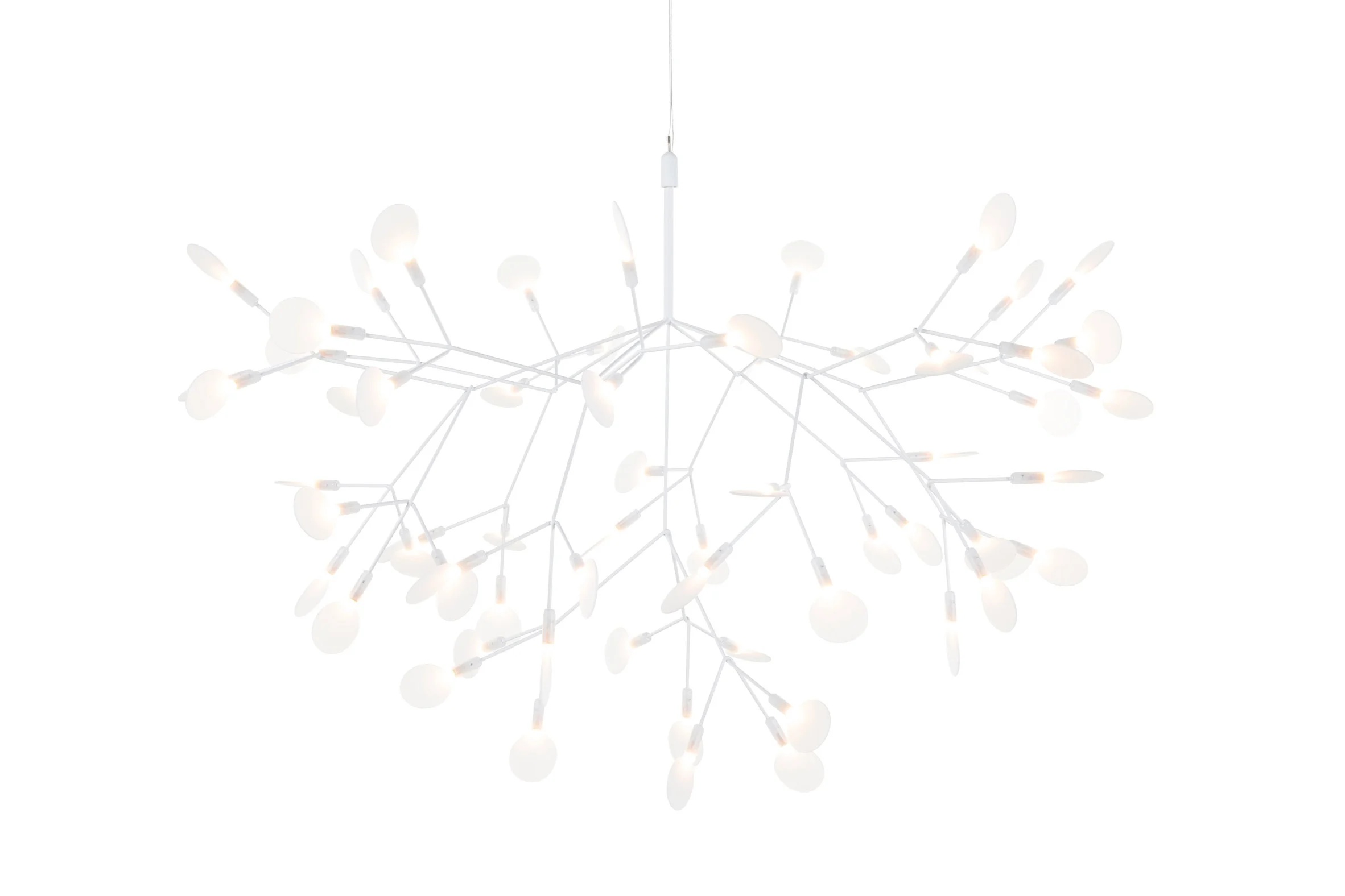 lamps and lanterns，Heracleum，Hanging type，Moooi，a chandelier，