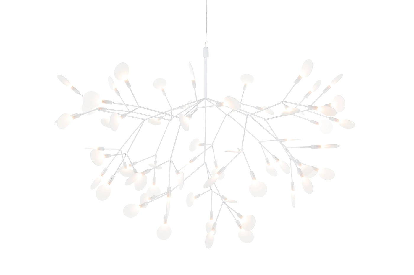 灯具，Heracleum，悬挂式，Moooi，吊灯，