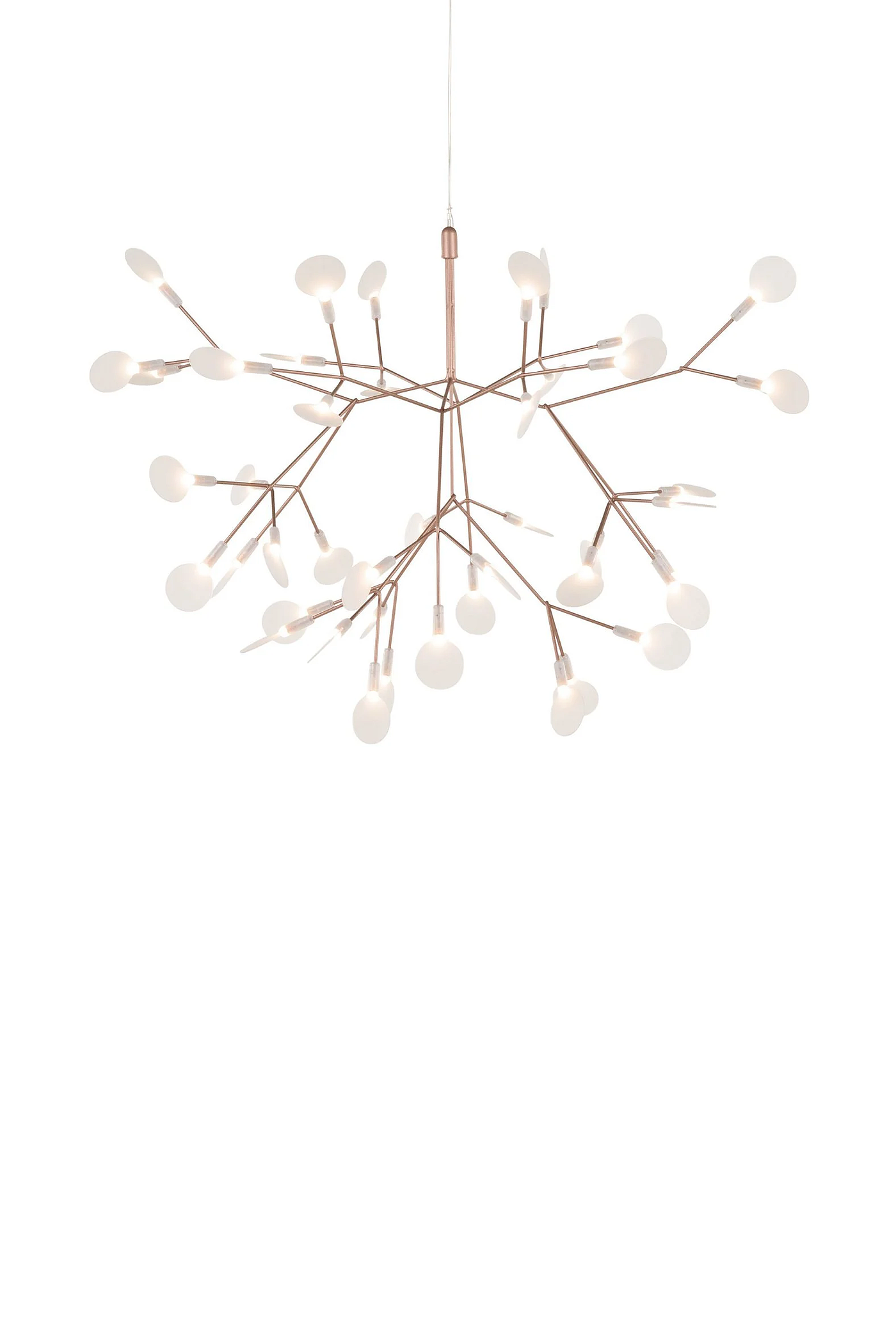 lamps and lanterns，Heracleum，Hanging type，Moooi，a chandelier，