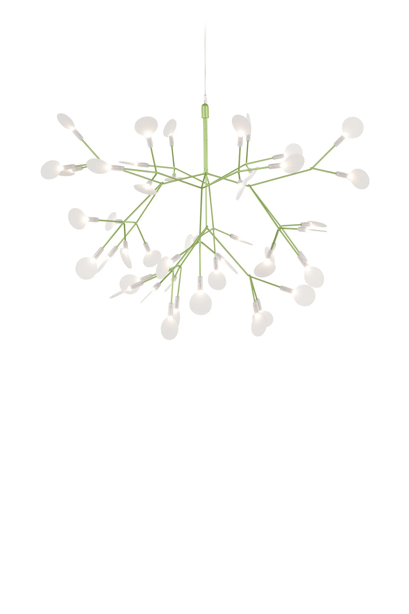 lamps and lanterns，Heracleum，Hanging type，Moooi，a chandelier，