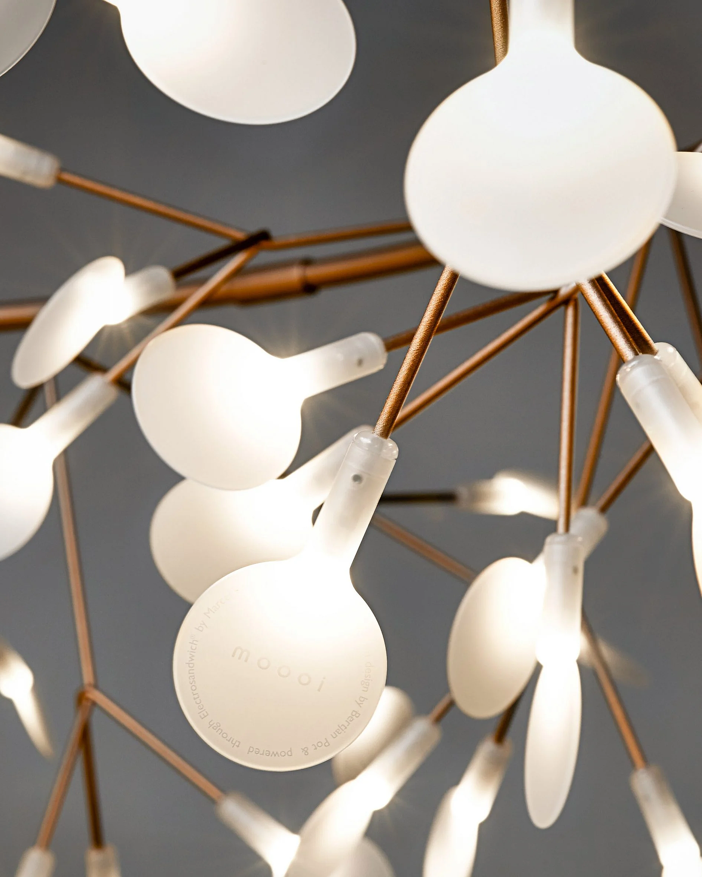 lamps and lanterns，Heracleum，Hanging type，Moooi，a chandelier，