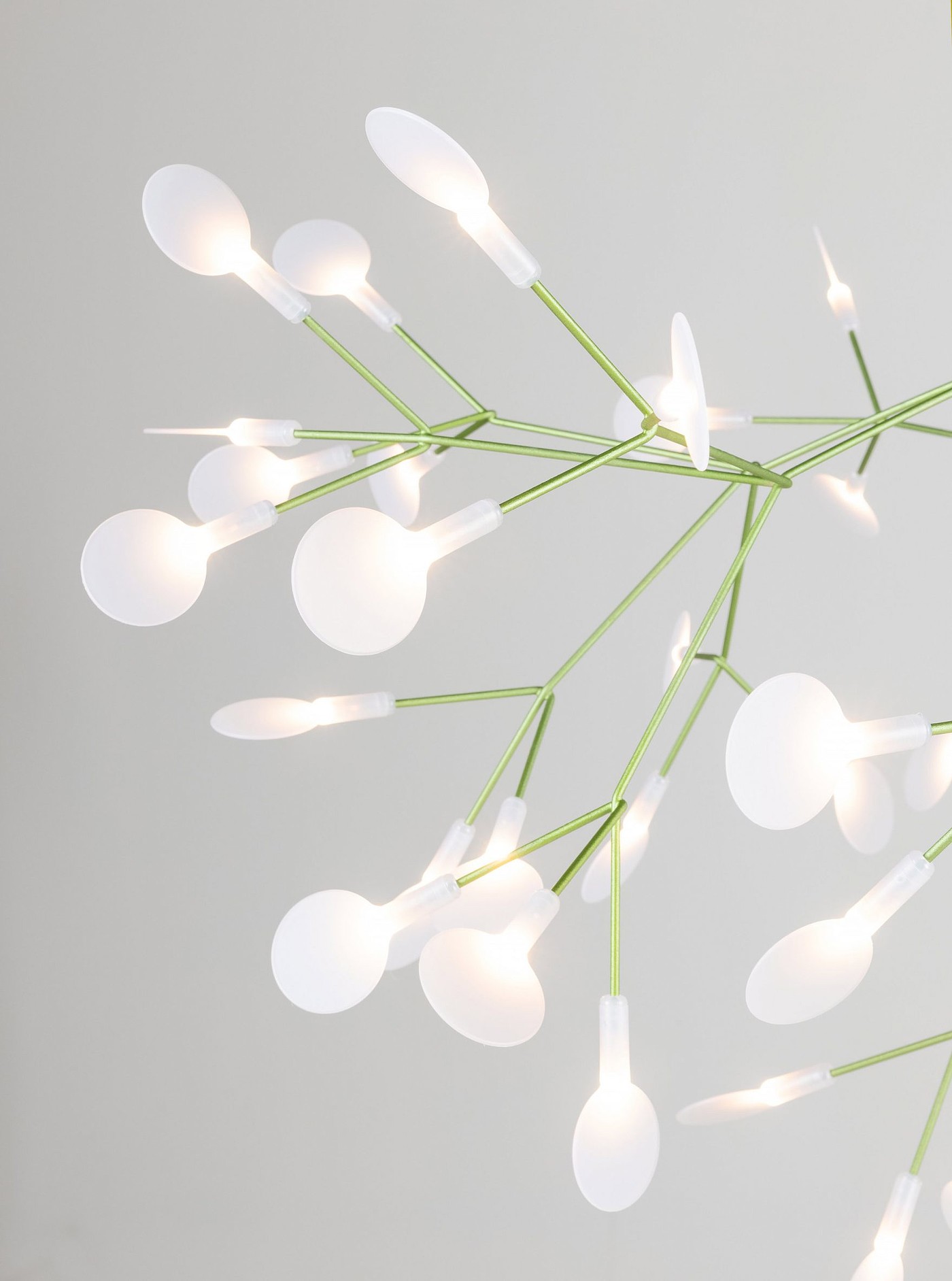 lamps and lanterns，Heracleum，Hanging type，Moooi，a chandelier，