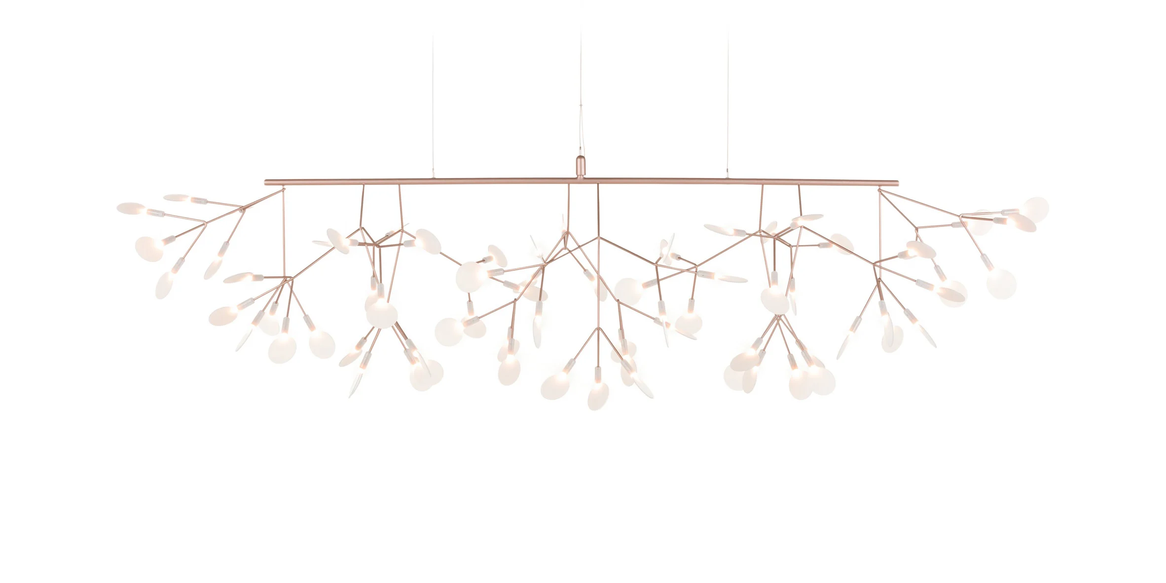 lamps and lanterns，Heracleum，Hanging type，Moooi，a chandelier，