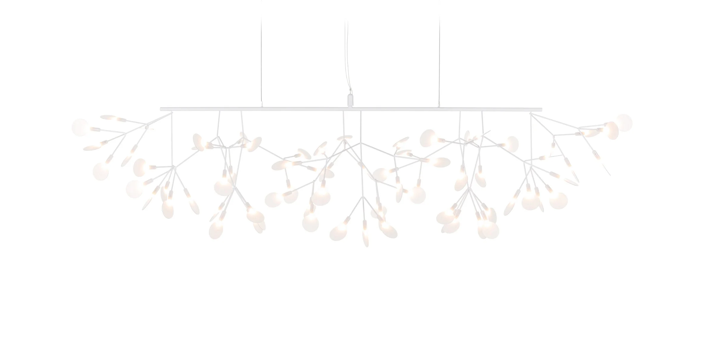 lamps and lanterns，Heracleum，Hanging type，Moooi，a chandelier，