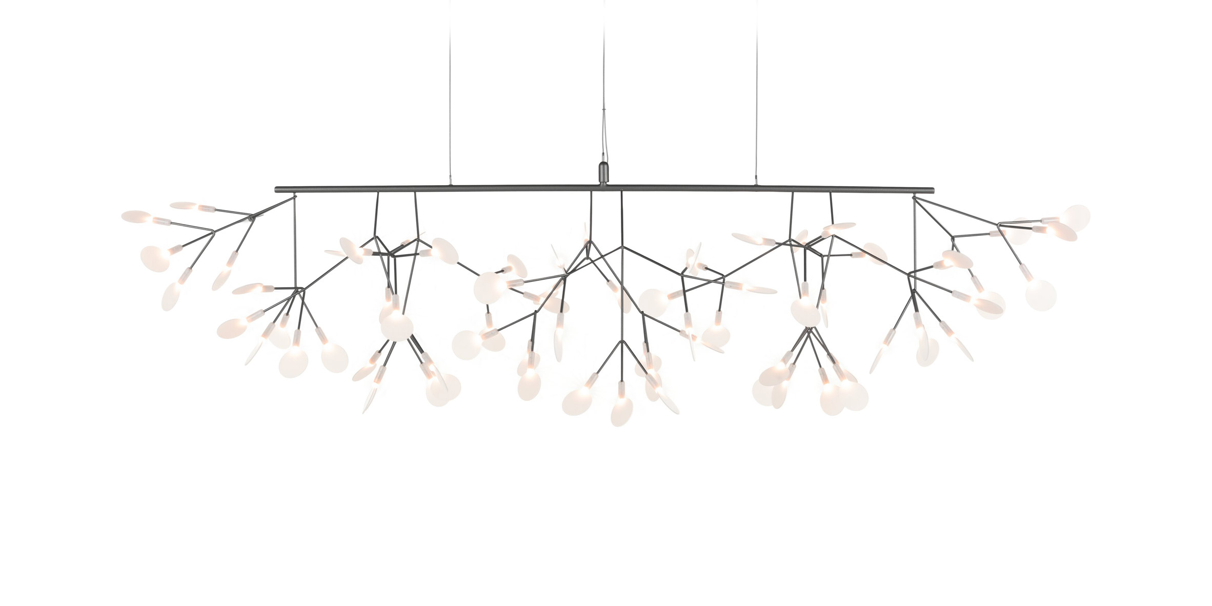 lamps and lanterns，Heracleum，Hanging type，Moooi，a chandelier，