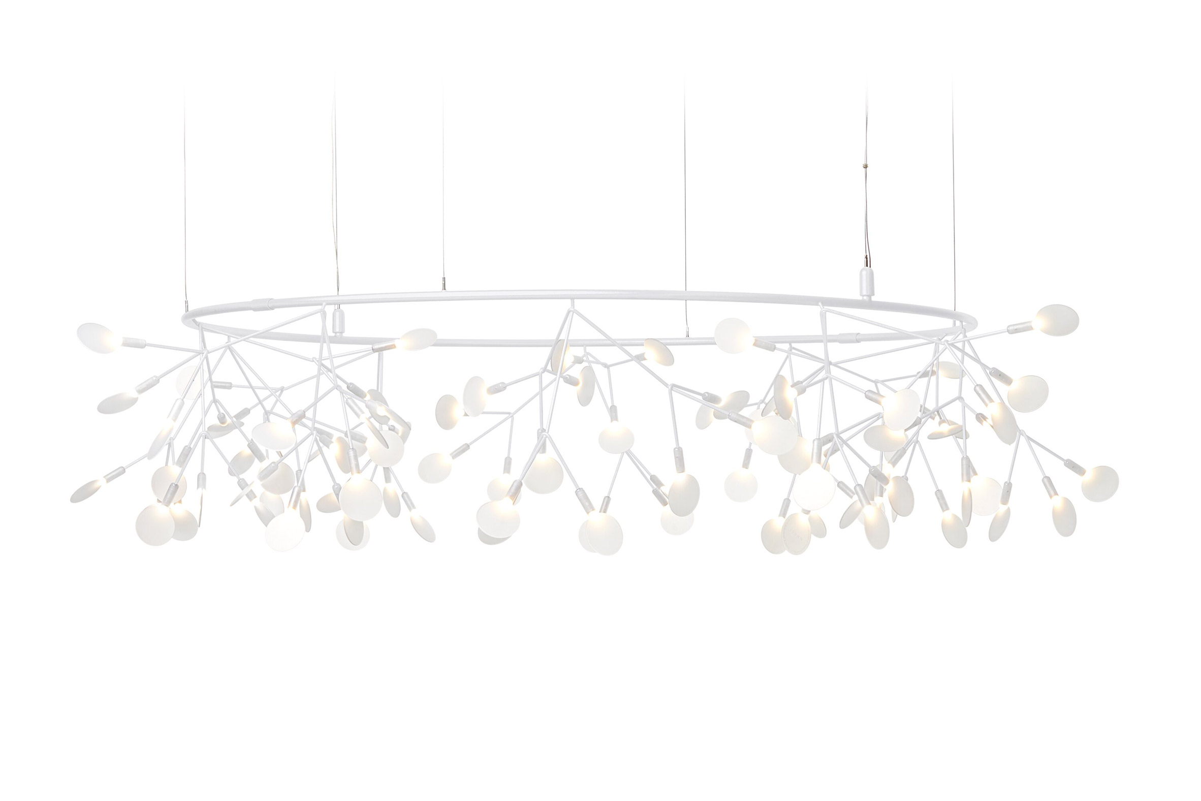 lamps and lanterns，Heracleum，Hanging type，Moooi，a chandelier，