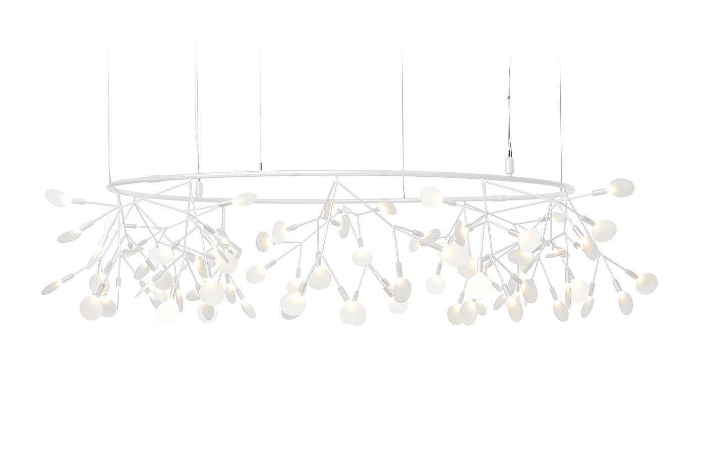 lamps and lanterns，Heracleum，Hanging type，Moooi，a chandelier，