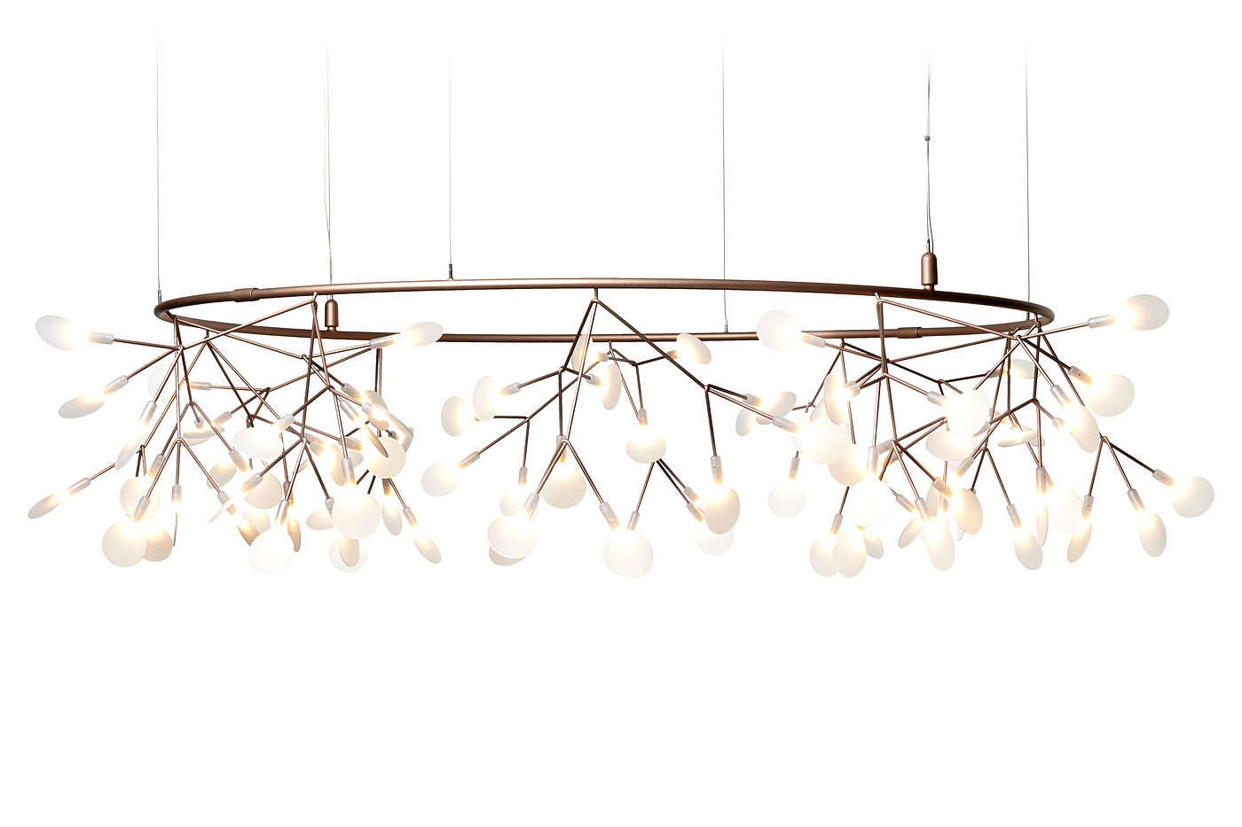 lamps and lanterns，Heracleum，Hanging type，Moooi，a chandelier，