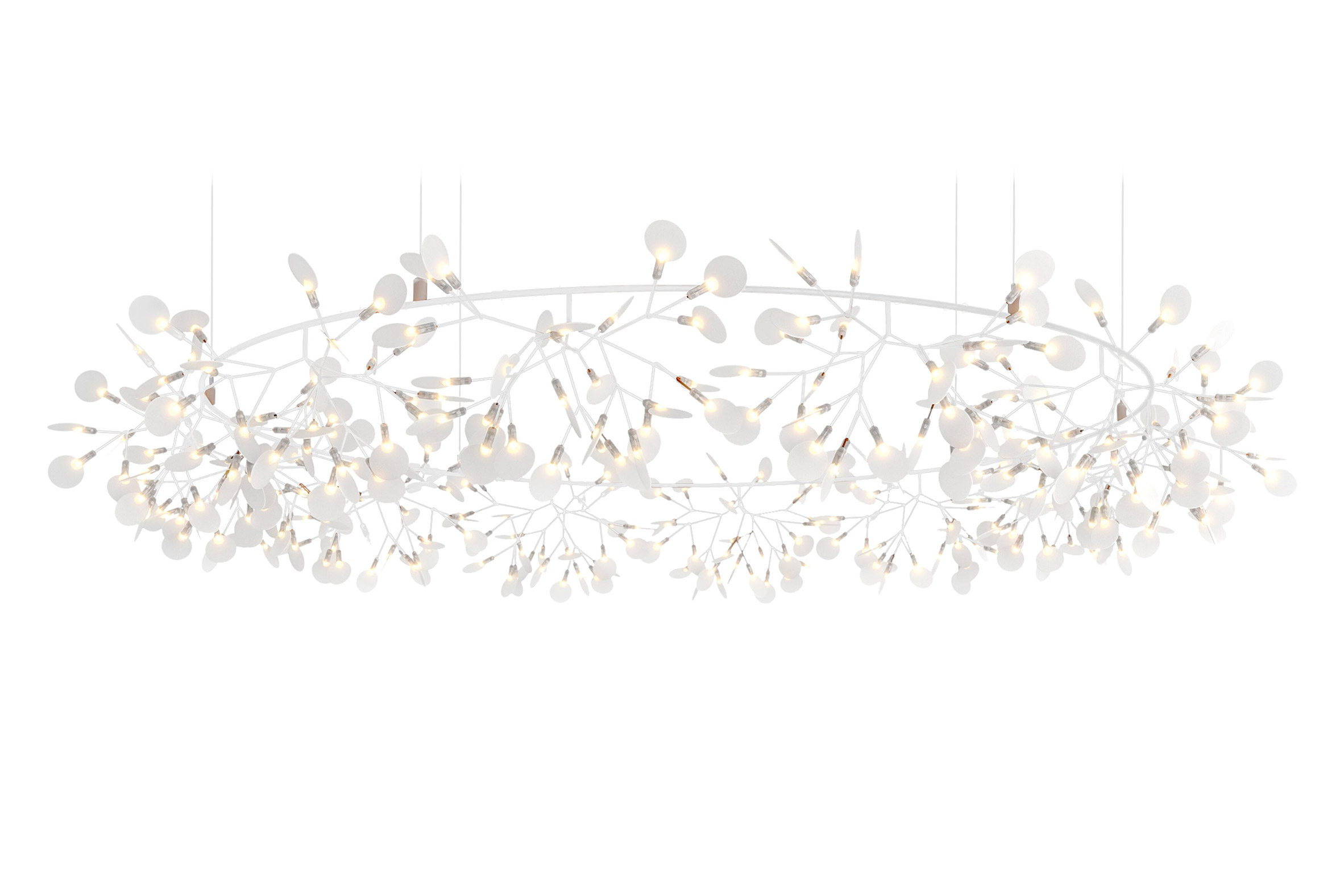 lamps and lanterns，Heracleum，Hanging type，Moooi，a chandelier，