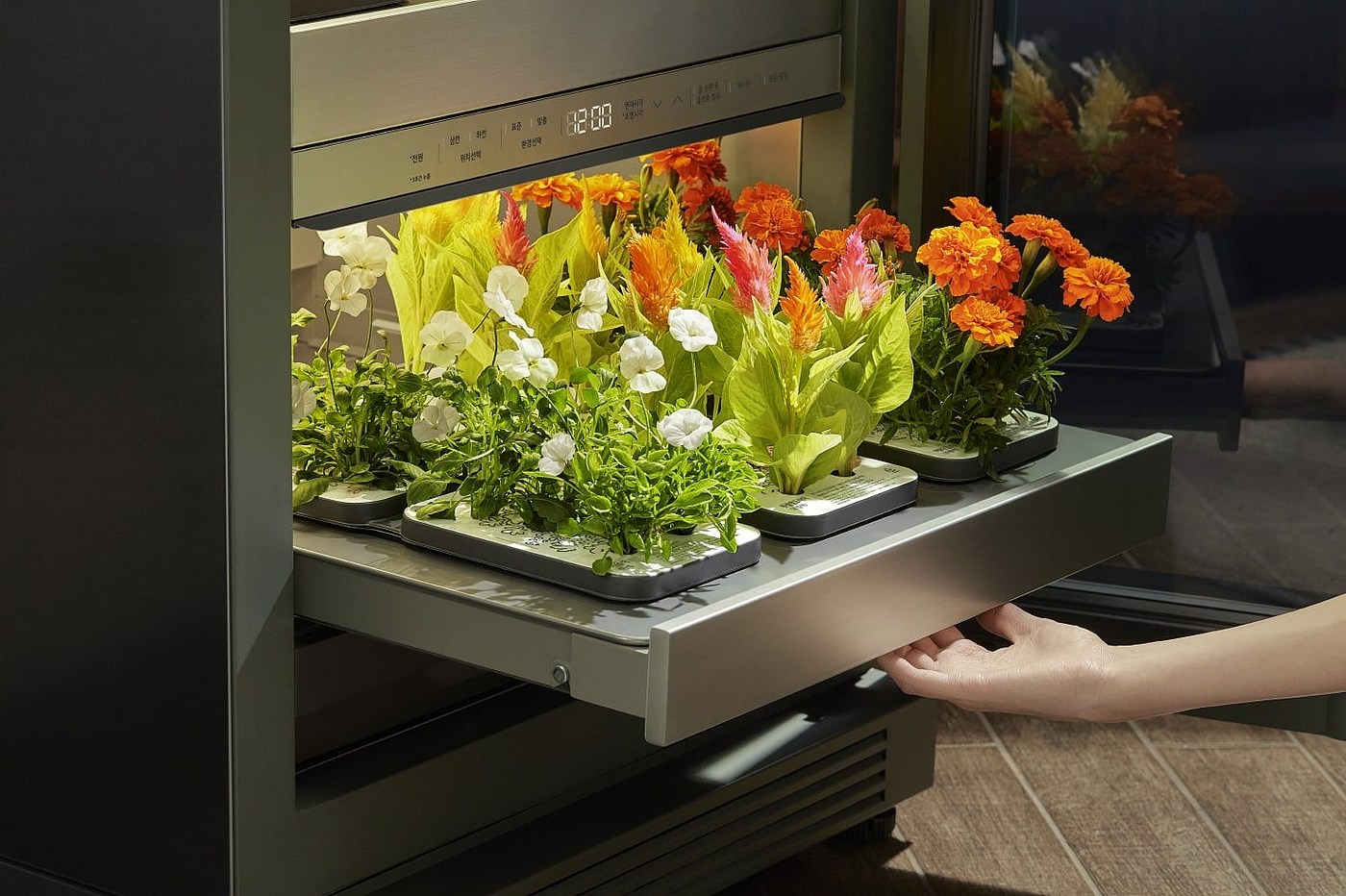 2022 Red Dot Product Design Award，LG tiiun，Vegetable box，intelligence，