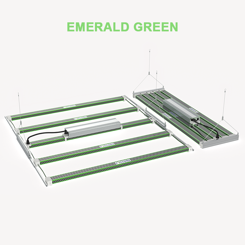 lamp，Drain lamp，Stretch，science and technology，military project，Space，future，Botany，