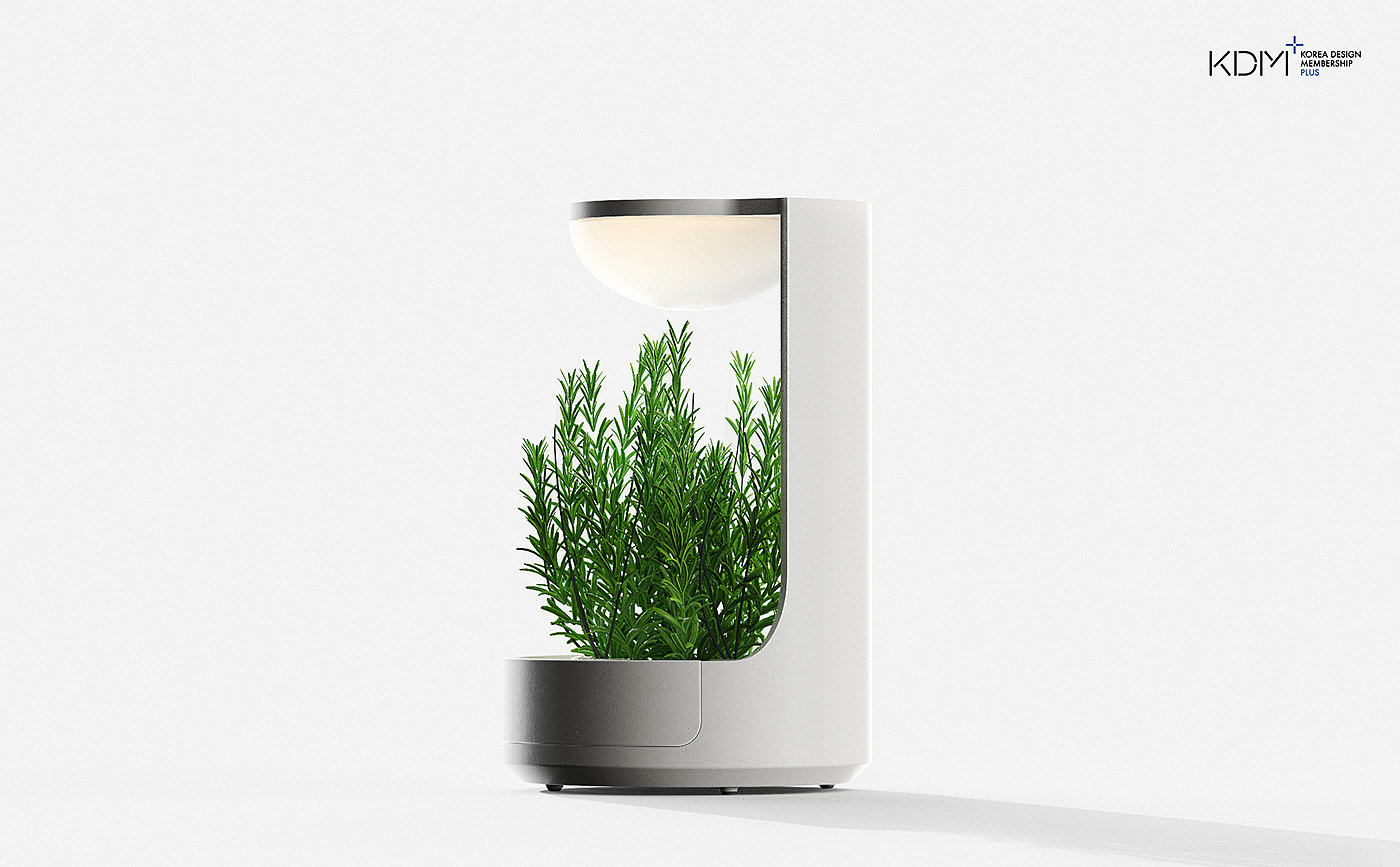 conceptual design，Botany，product design，Planta，