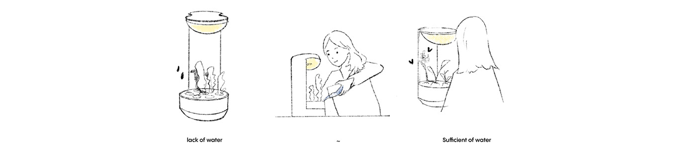 conceptual design，Botany，product design，Planta，