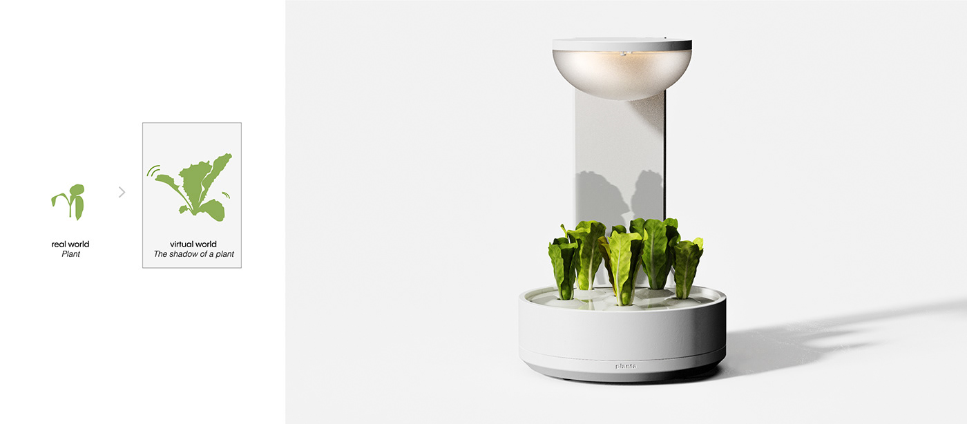 conceptual design，Botany，product design，Planta，