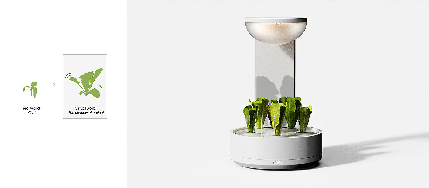 conceptual design，Botany，product design，Planta，