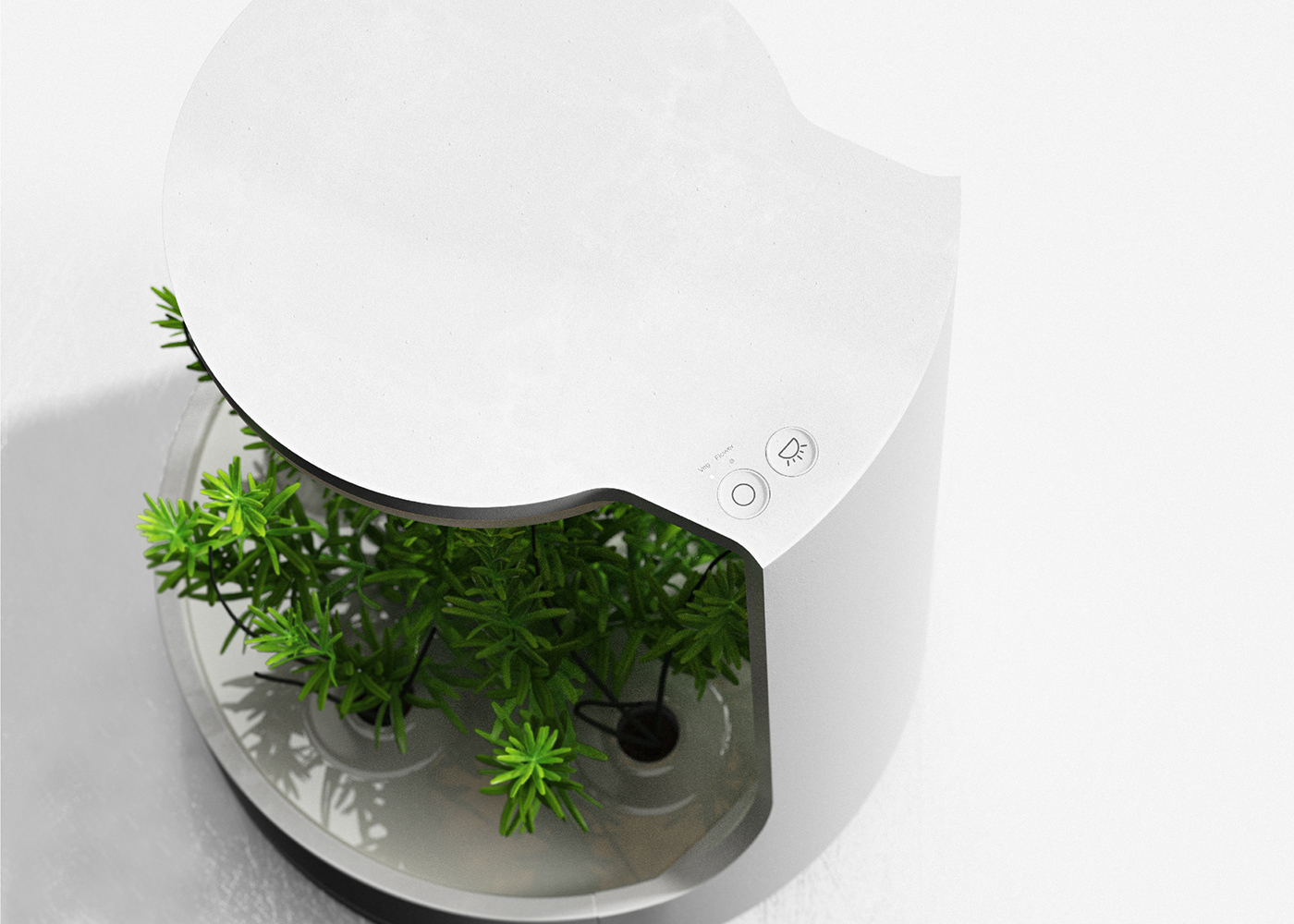 conceptual design，Botany，product design，Planta，