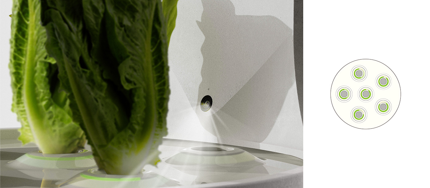 conceptual design，Botany，product design，Planta，