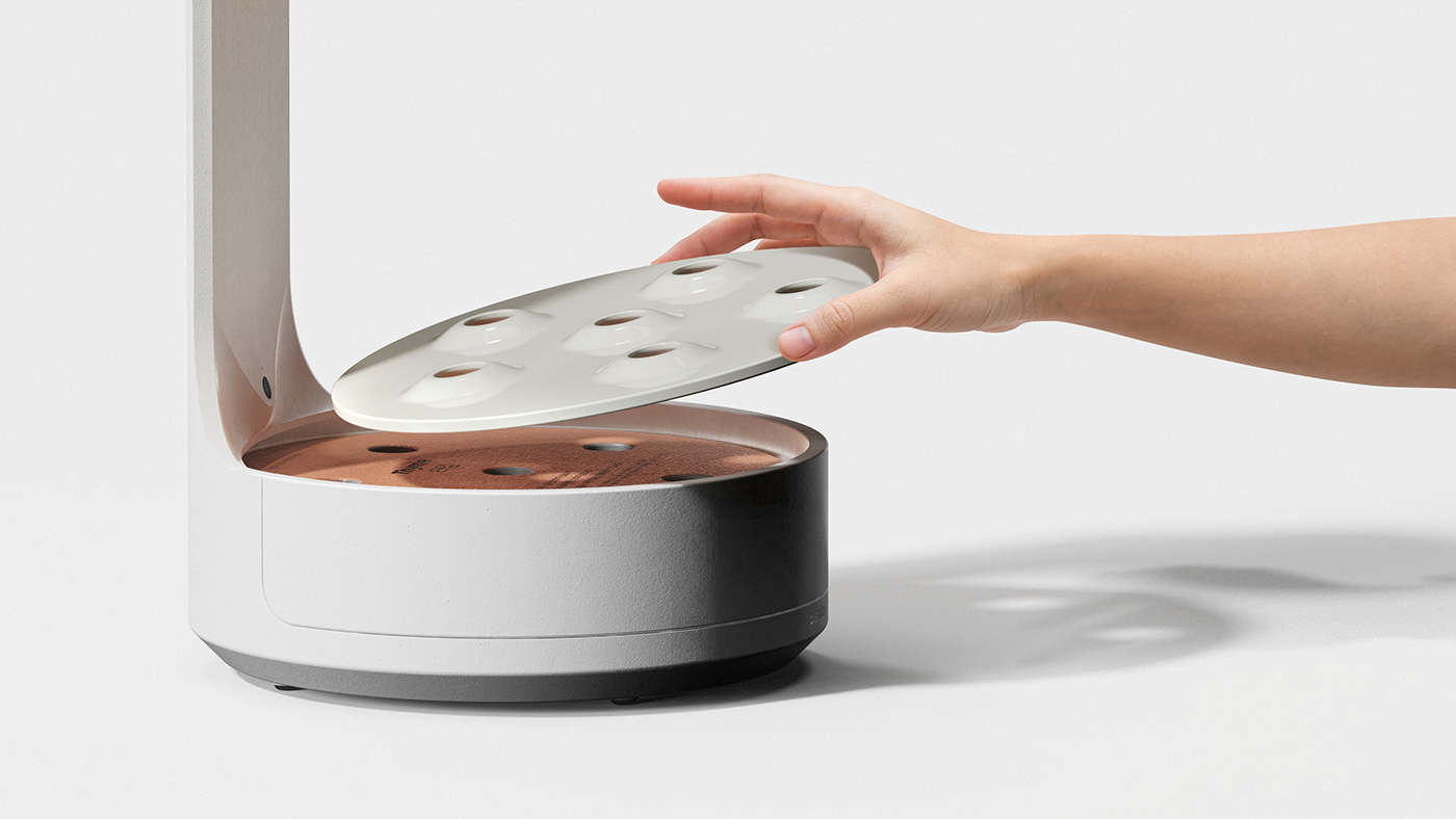 conceptual design，Botany，product design，Planta，