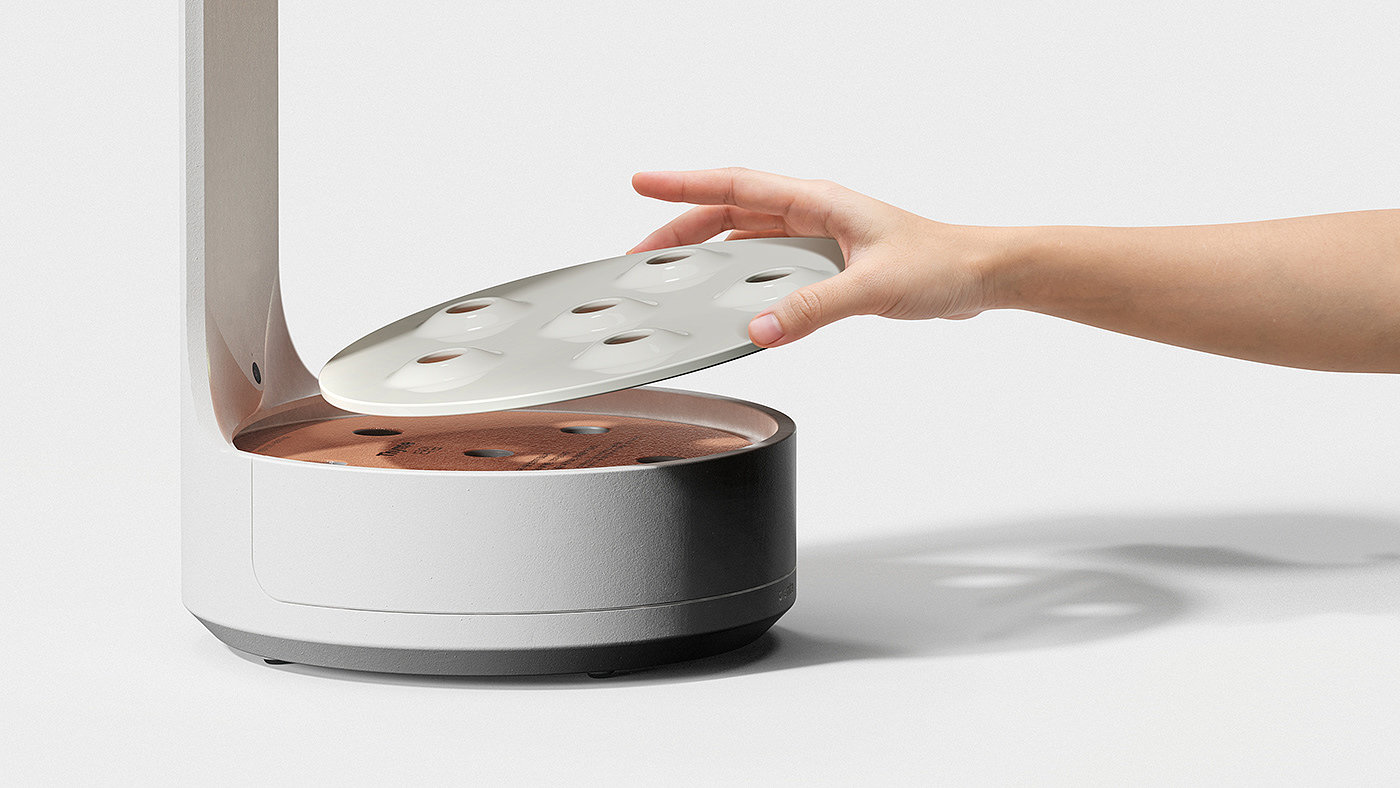 conceptual design，Botany，product design，Planta，